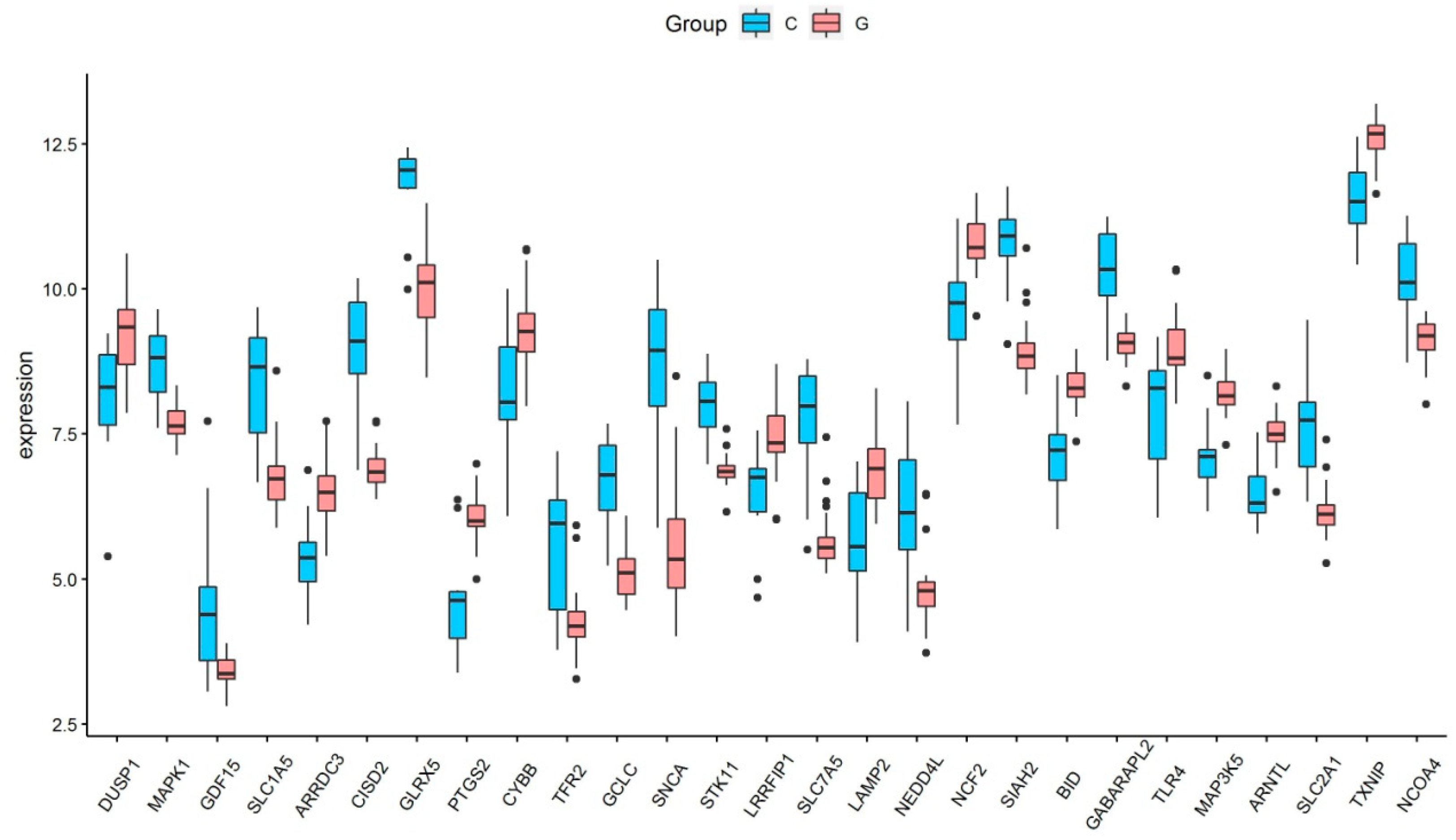 Medicina 59 00297 g002 Medicina 59 00297 g002
