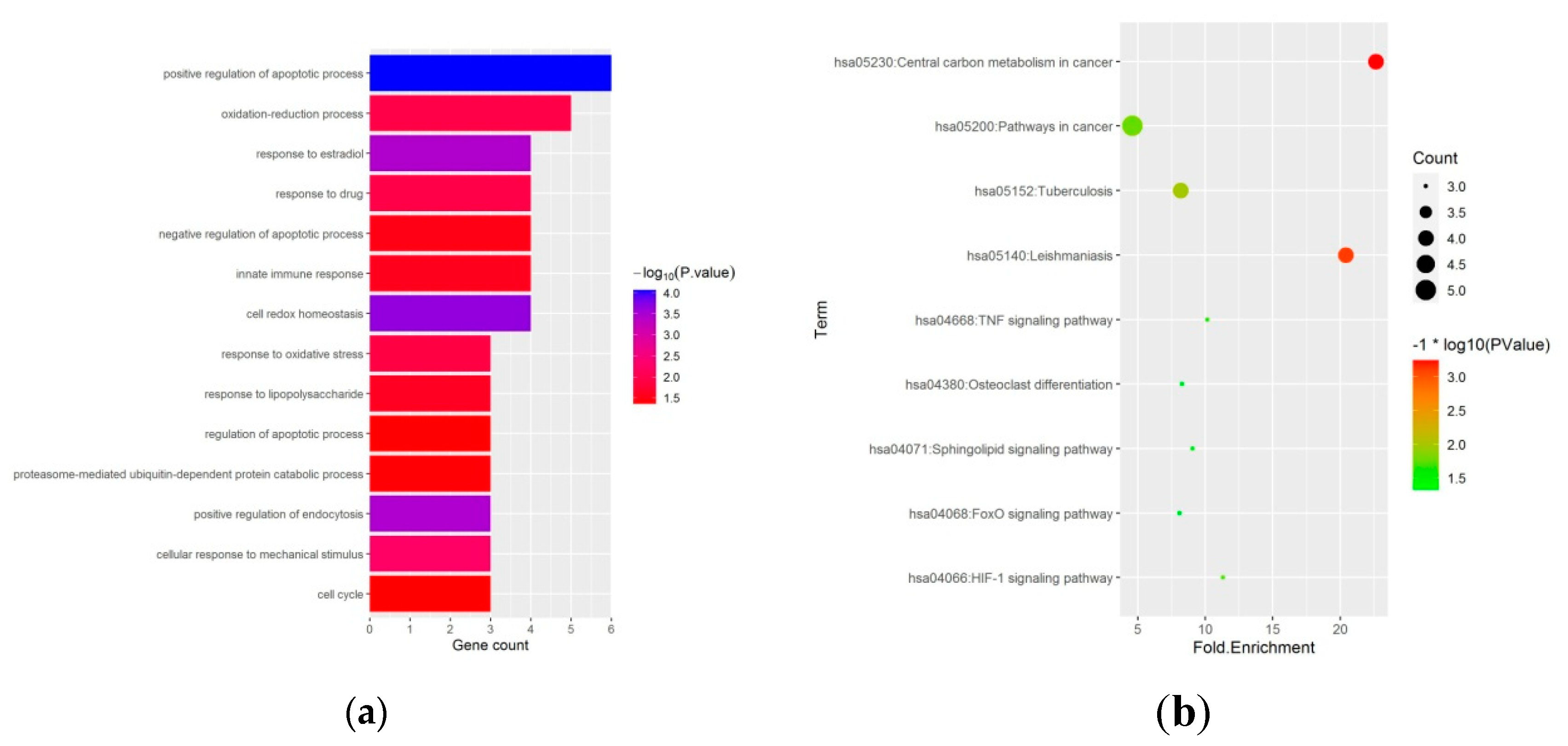 Medicina 59 00297 g003 Medicina 59 00297 g003