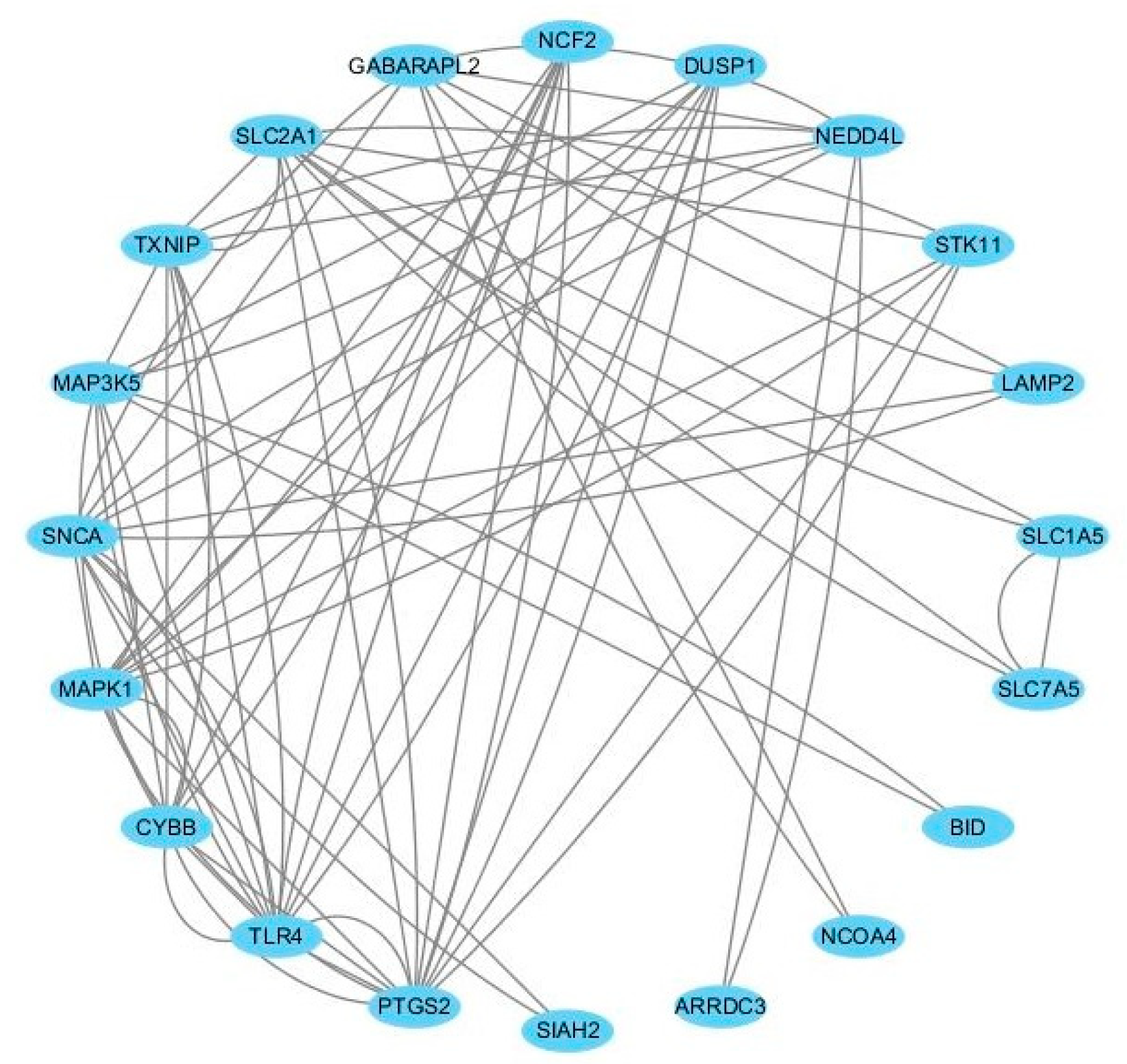 Medicina 59 00297 g004 Medicina 59 00297 g004