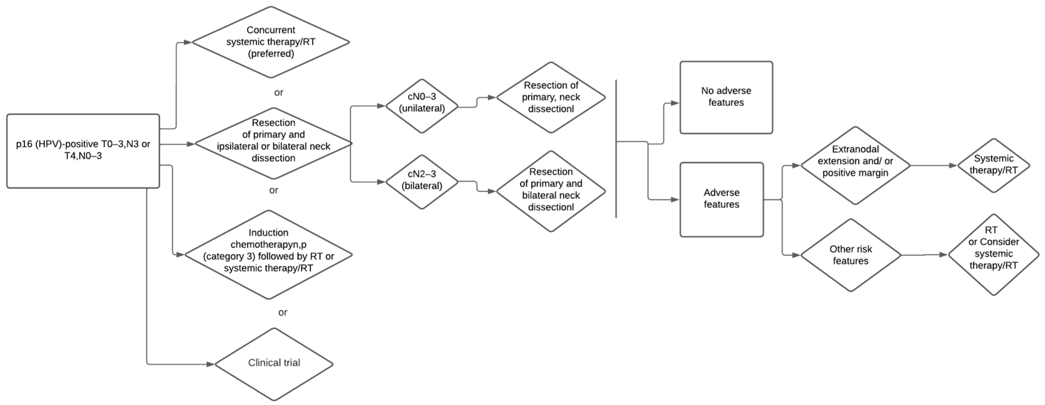 Medicina 59 00304 g001
