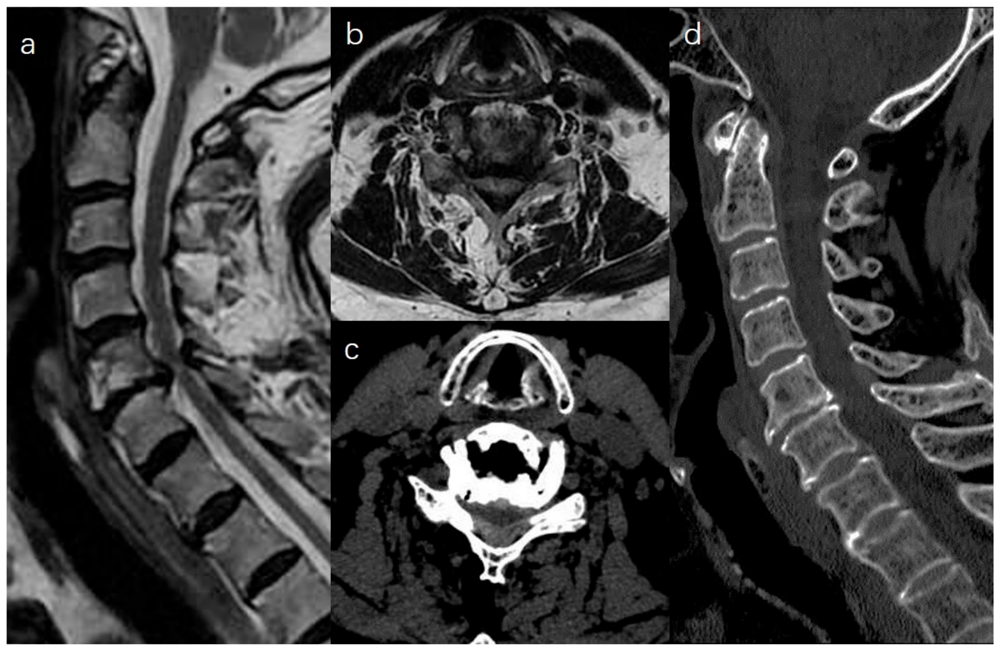 Medicina 59 00305 g001 550