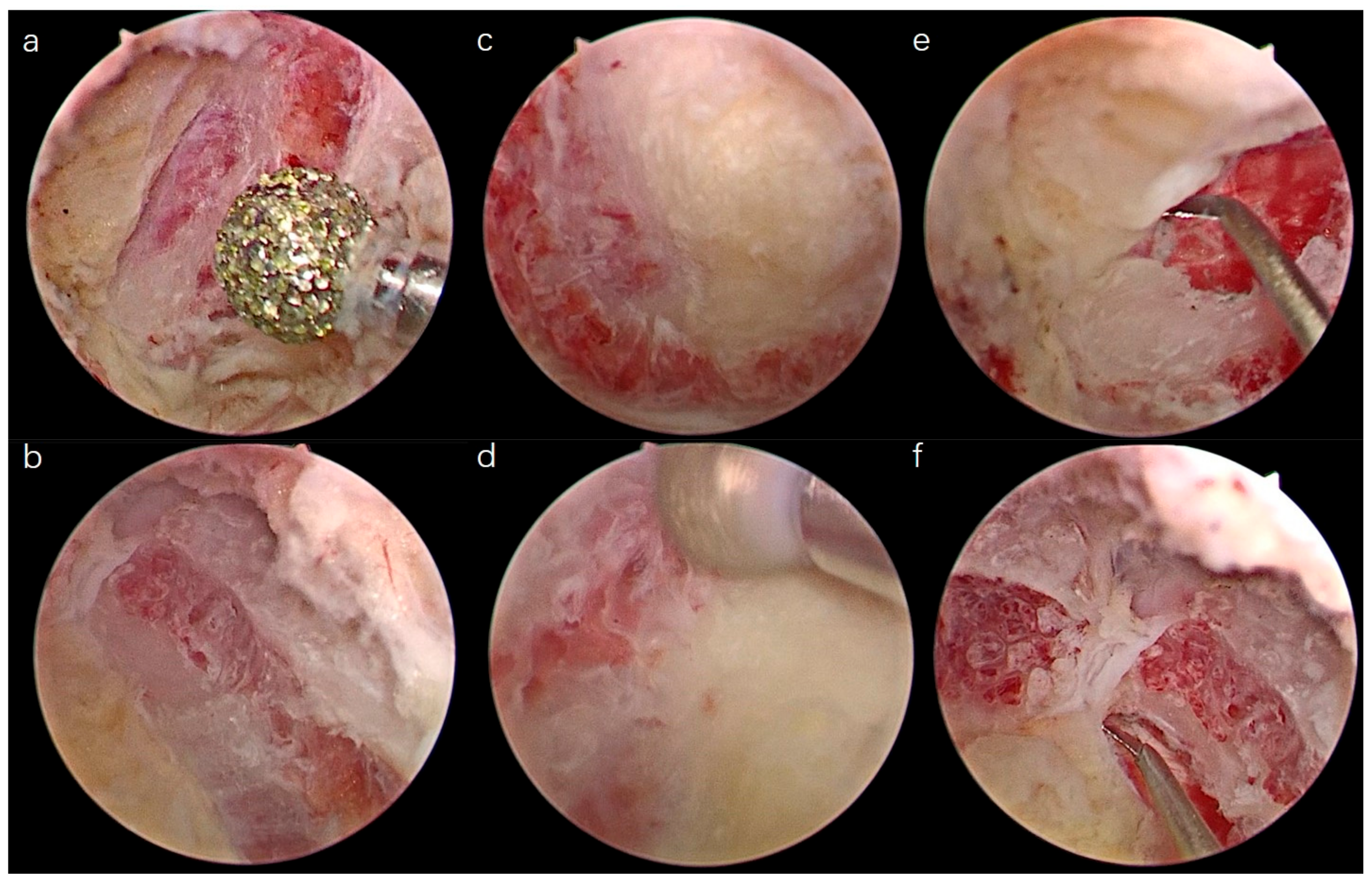 Medicina 59 00305 g003 550