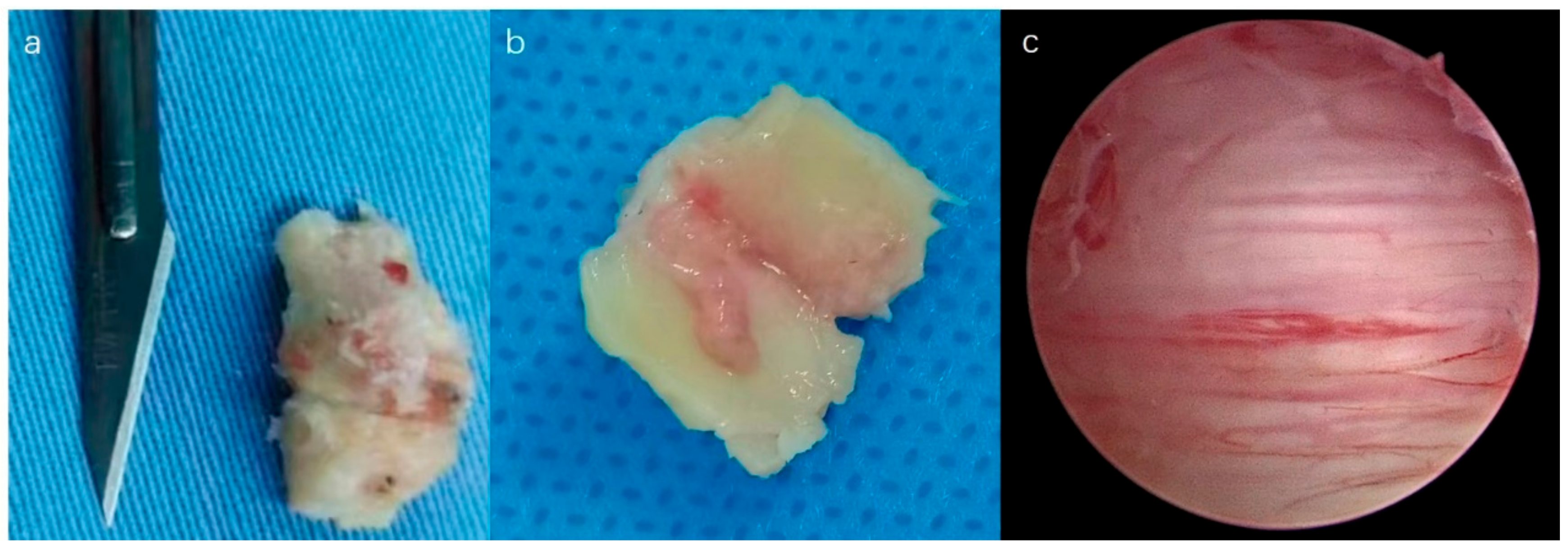 Medicina 59 00305 g004 550