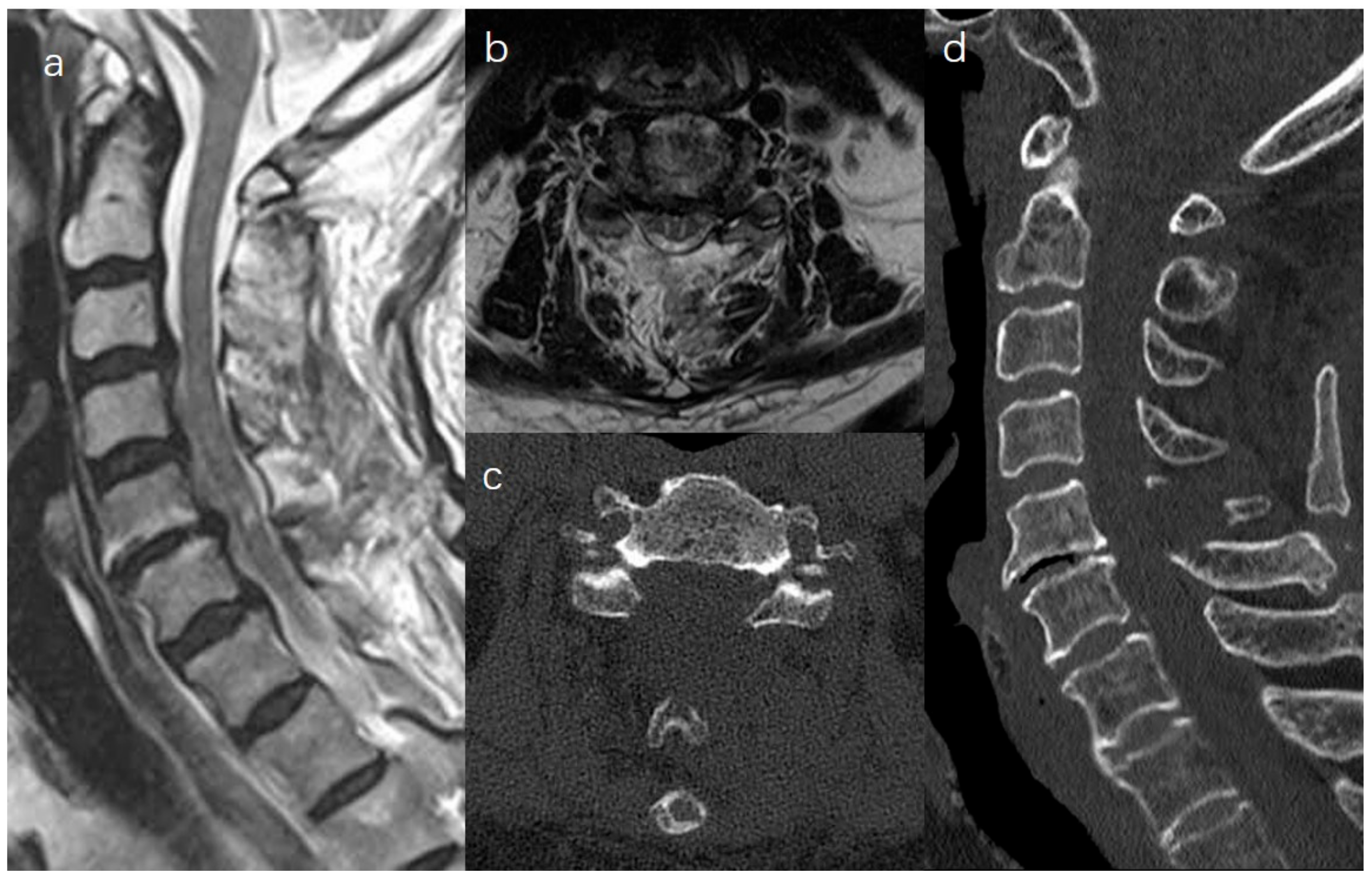 Medicina 59 00305 g005 550