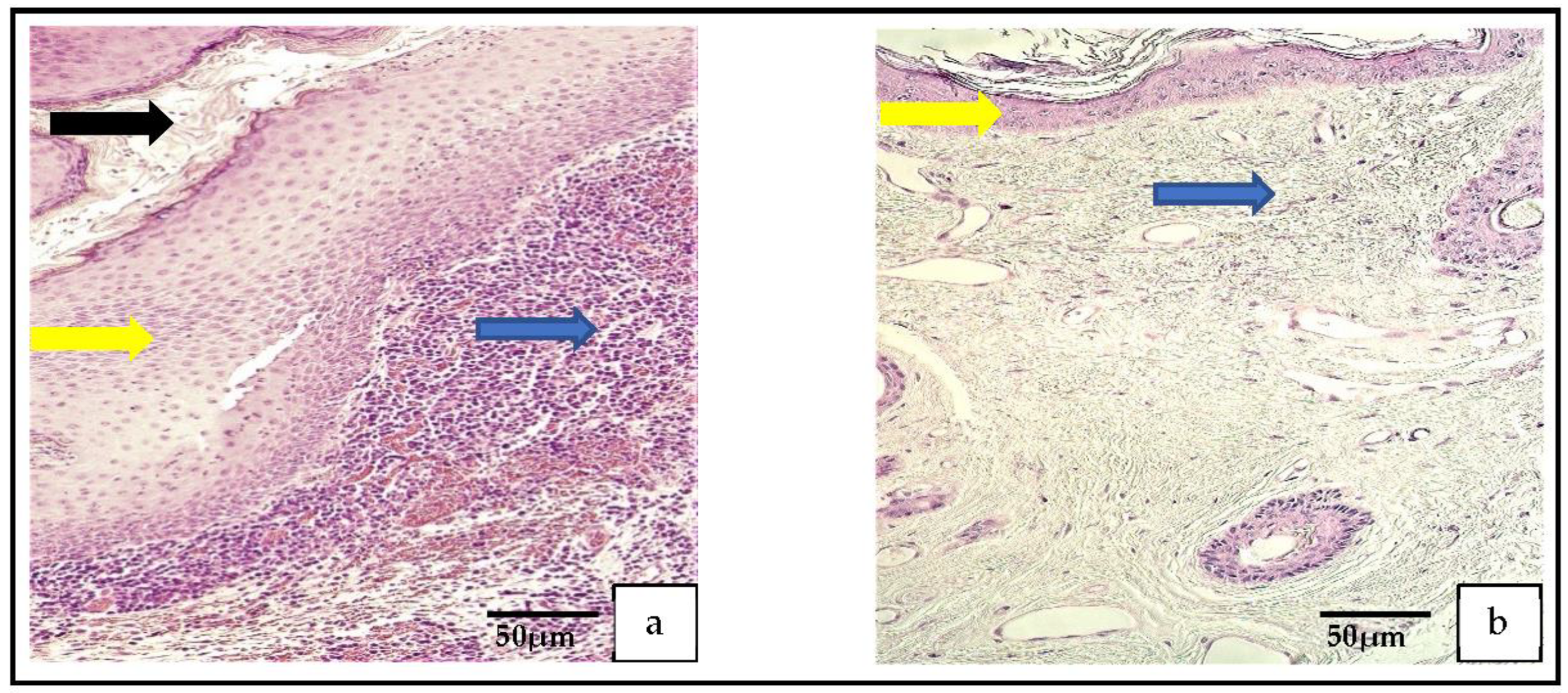 Medicina 59 00306 g001 550