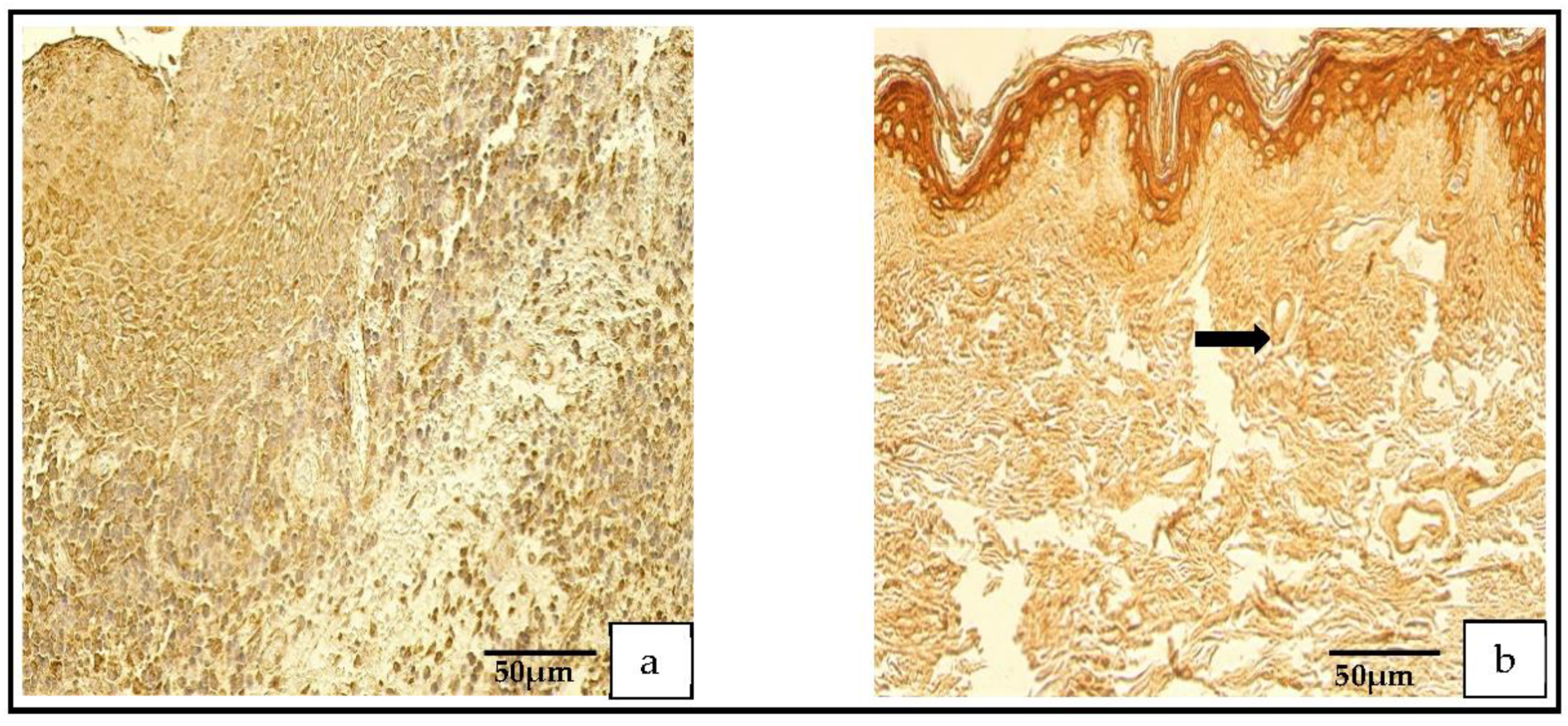 Medicina 59 00306 g003 550
