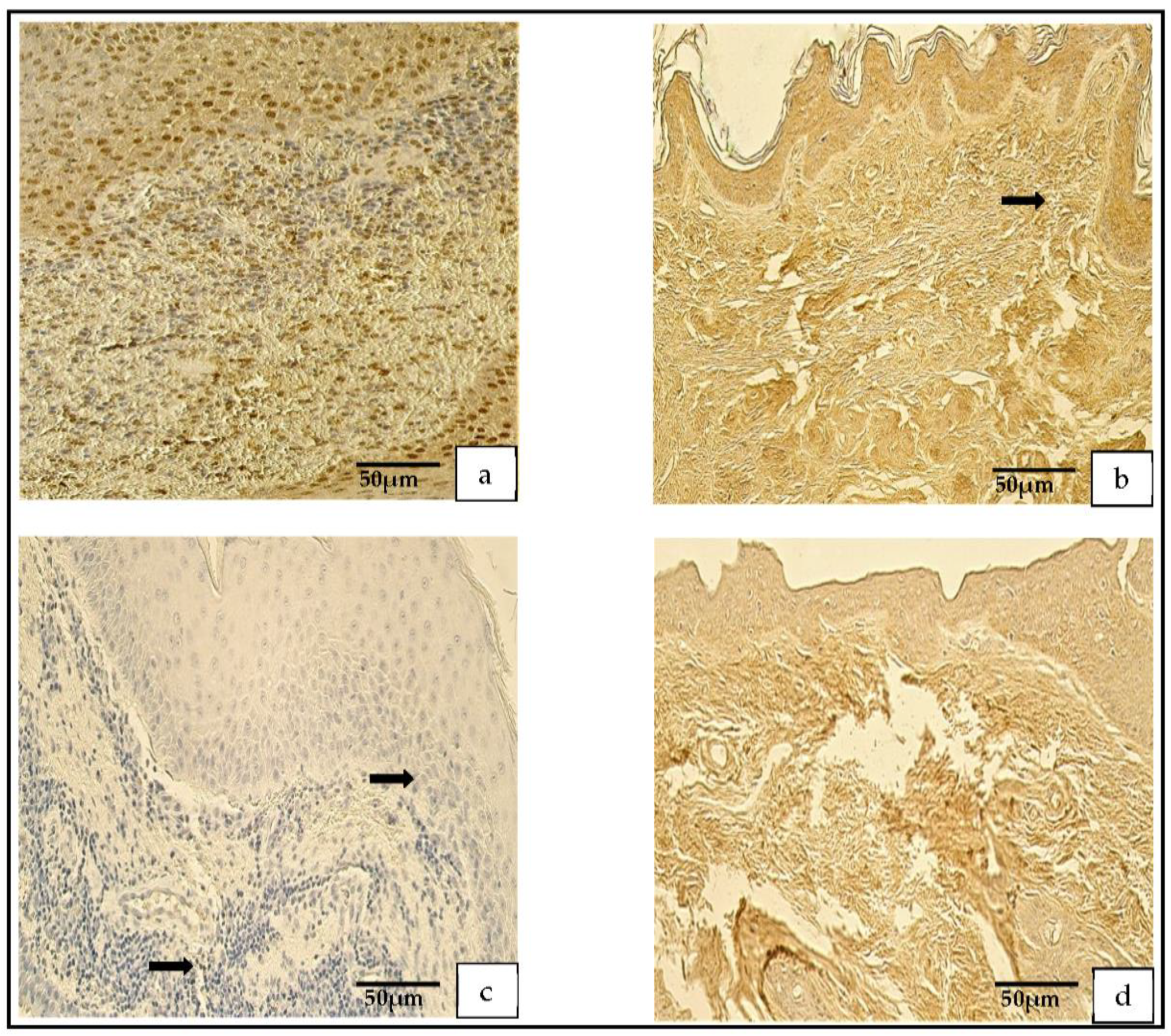 Medicina 59 00306 g004 550