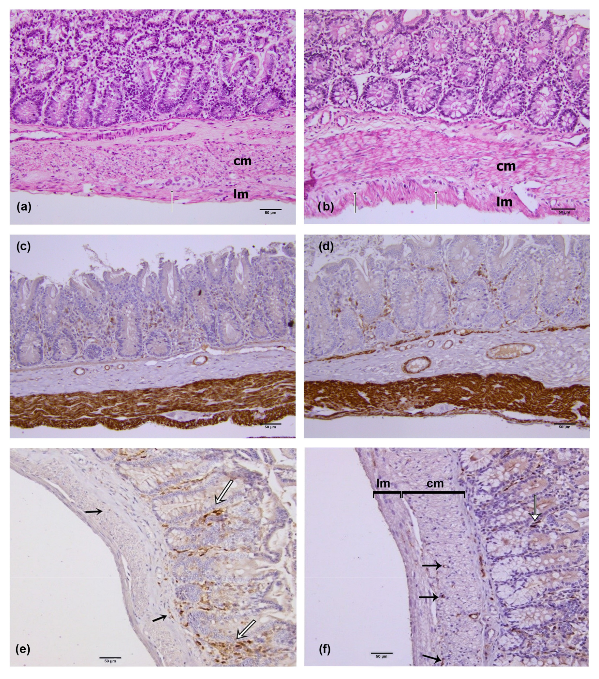 Medicina 59 00308 g001