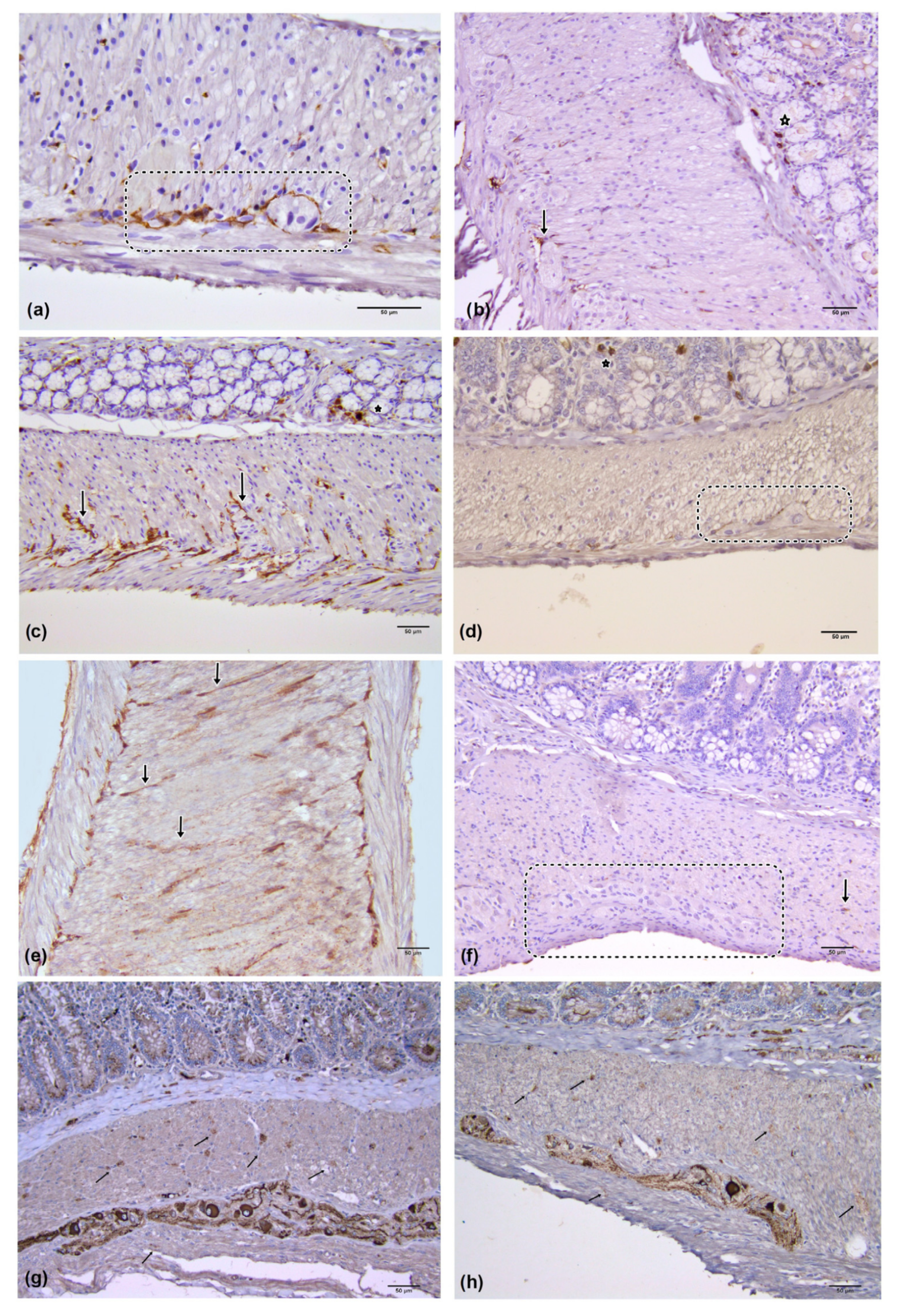 Medicina 59 00308 g002