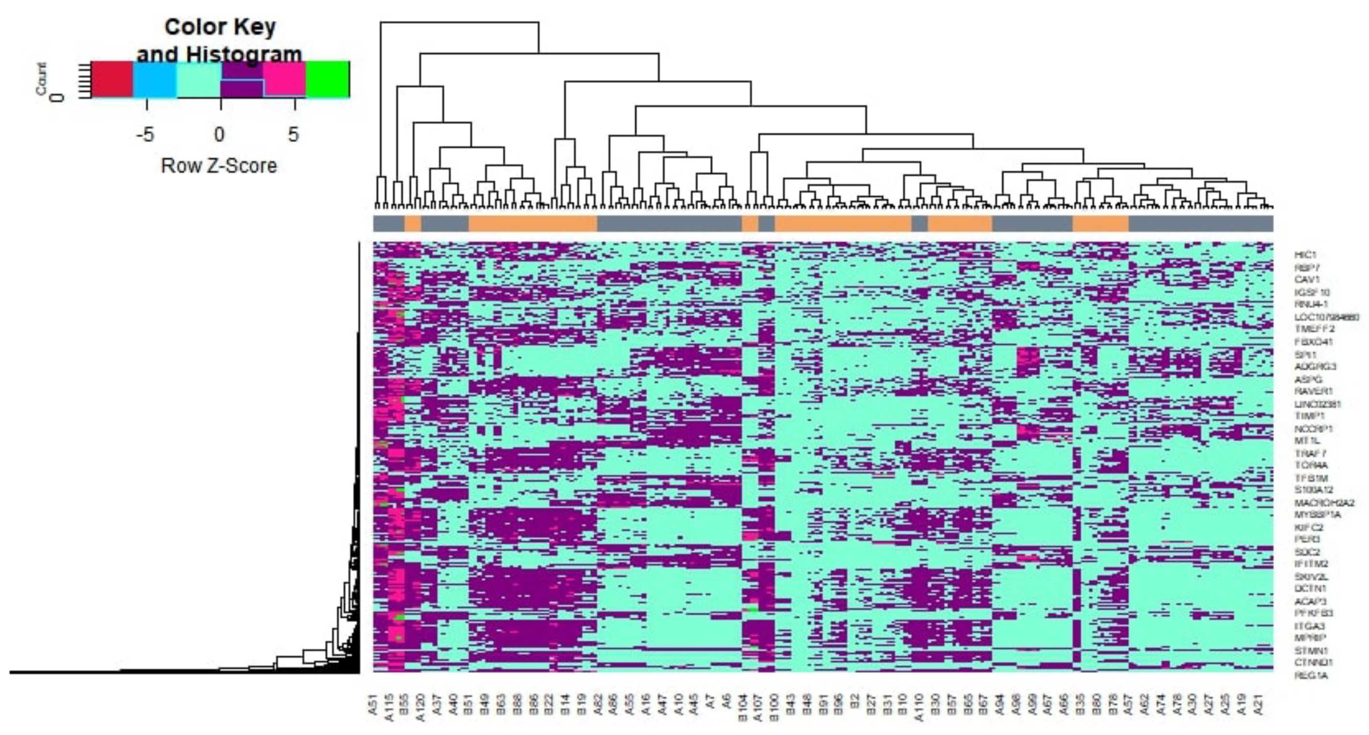 Medicina 59 00309 g003 Medicina 59 00309 g003