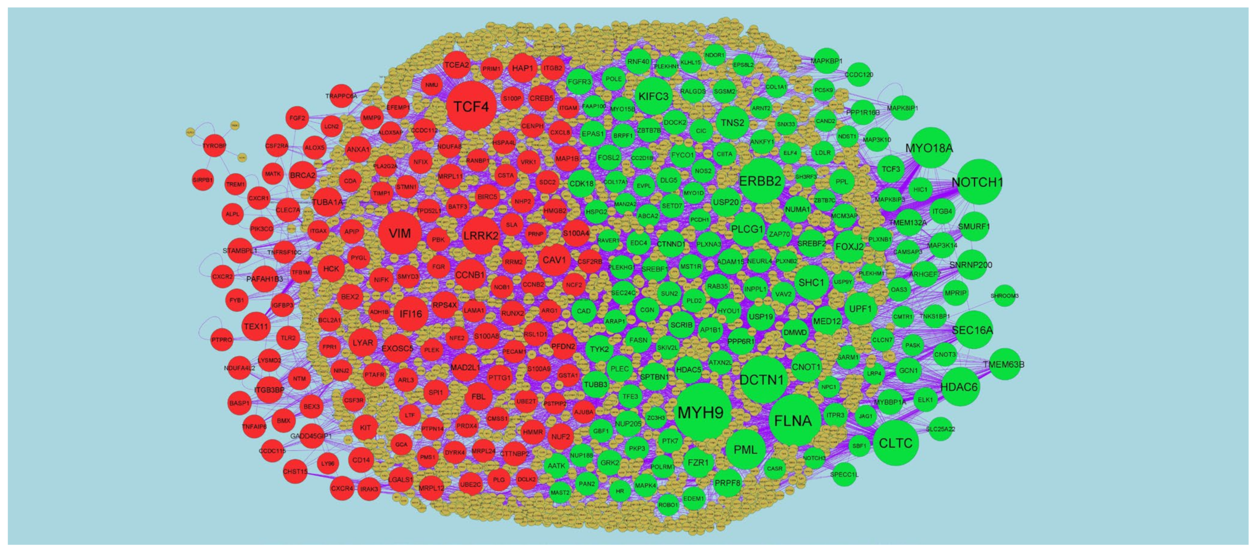 Medicina 59 00309 g004 Medicina 59 00309 g004