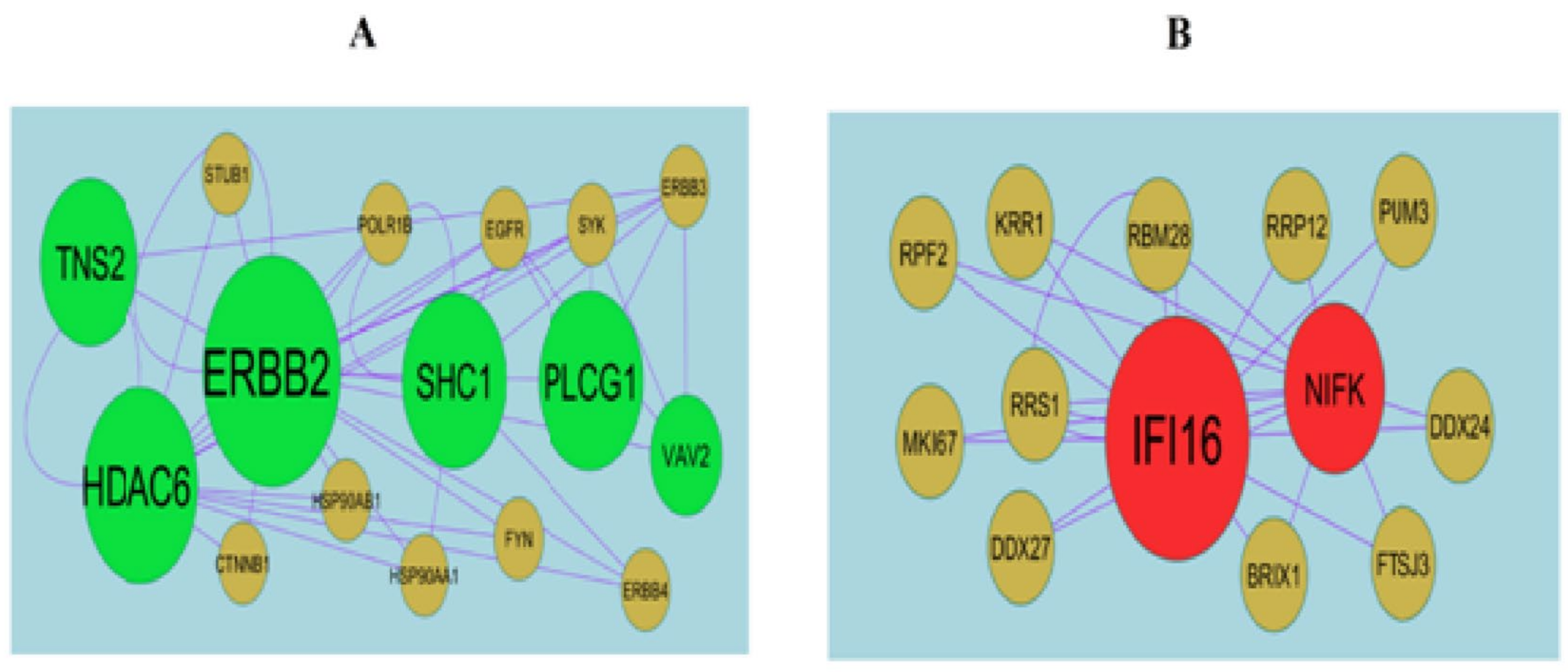 Medicina 59 00309 g005 Medicina 59 00309 g005