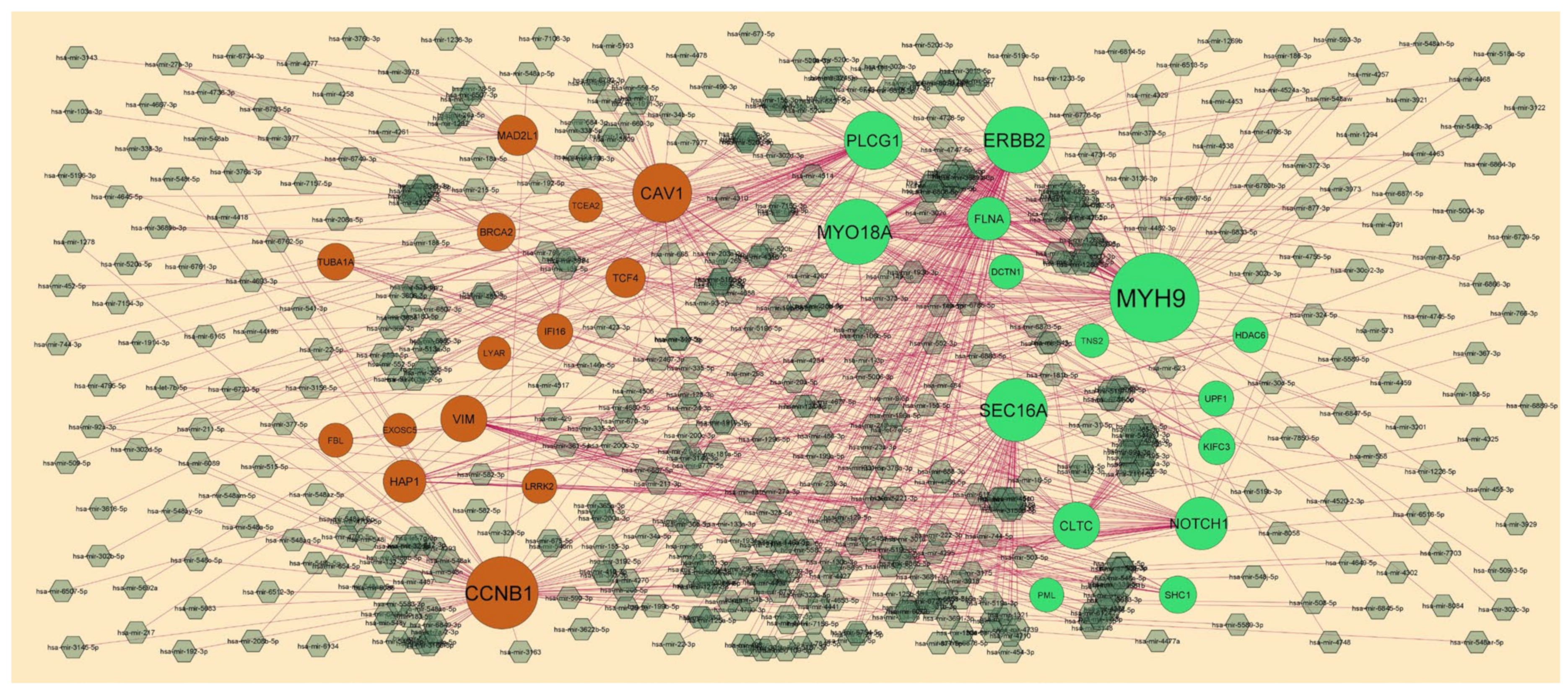 Medicina 59 00309 g006 Medicina 59 00309 g006