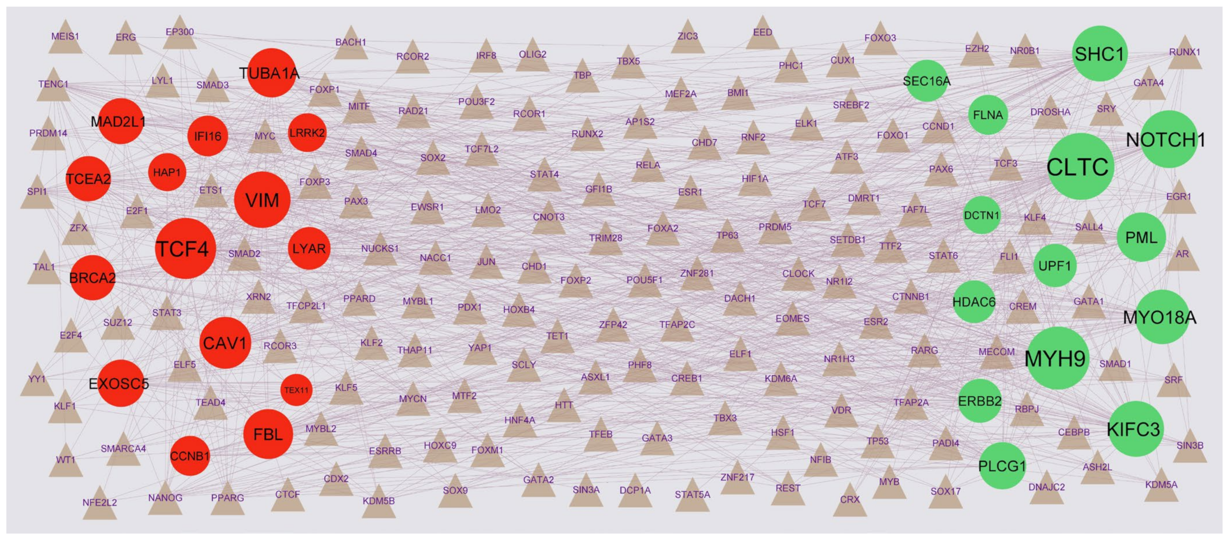 Medicina 59 00309 g007 Medicina 59 00309 g007