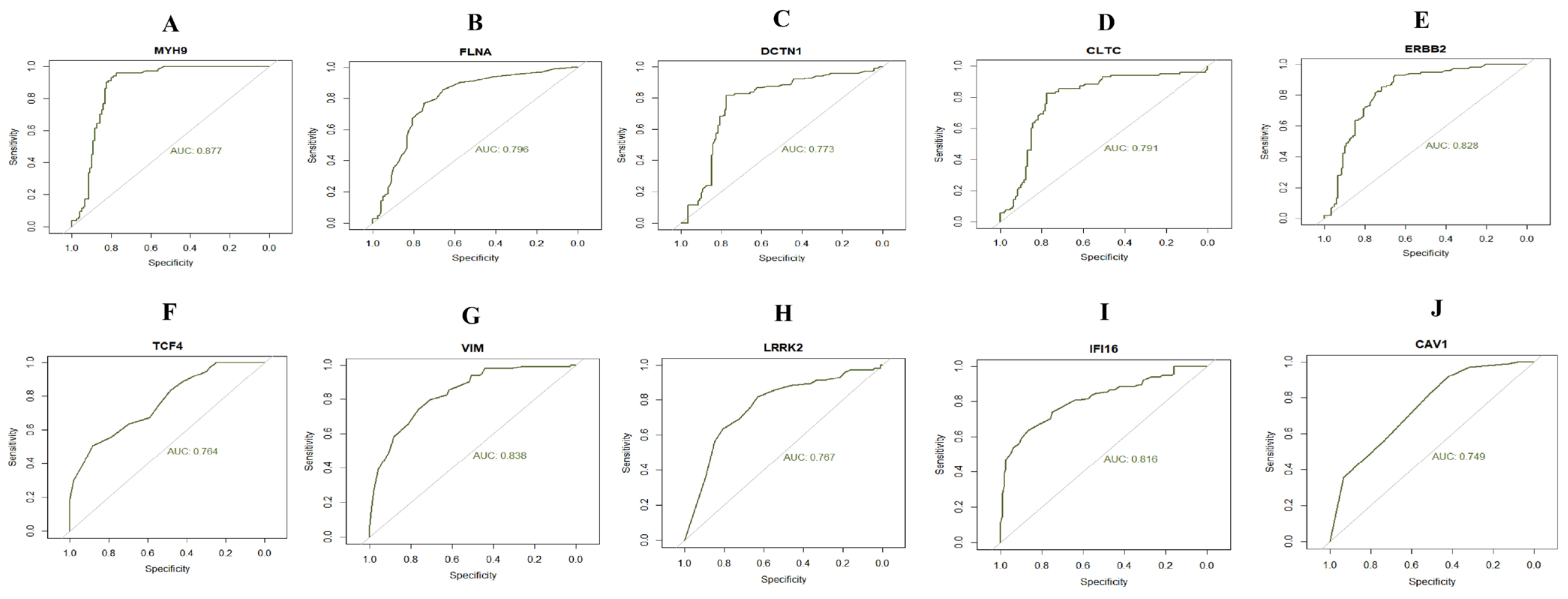 Medicina 59 00309 g008 Medicina 59 00309 g008
