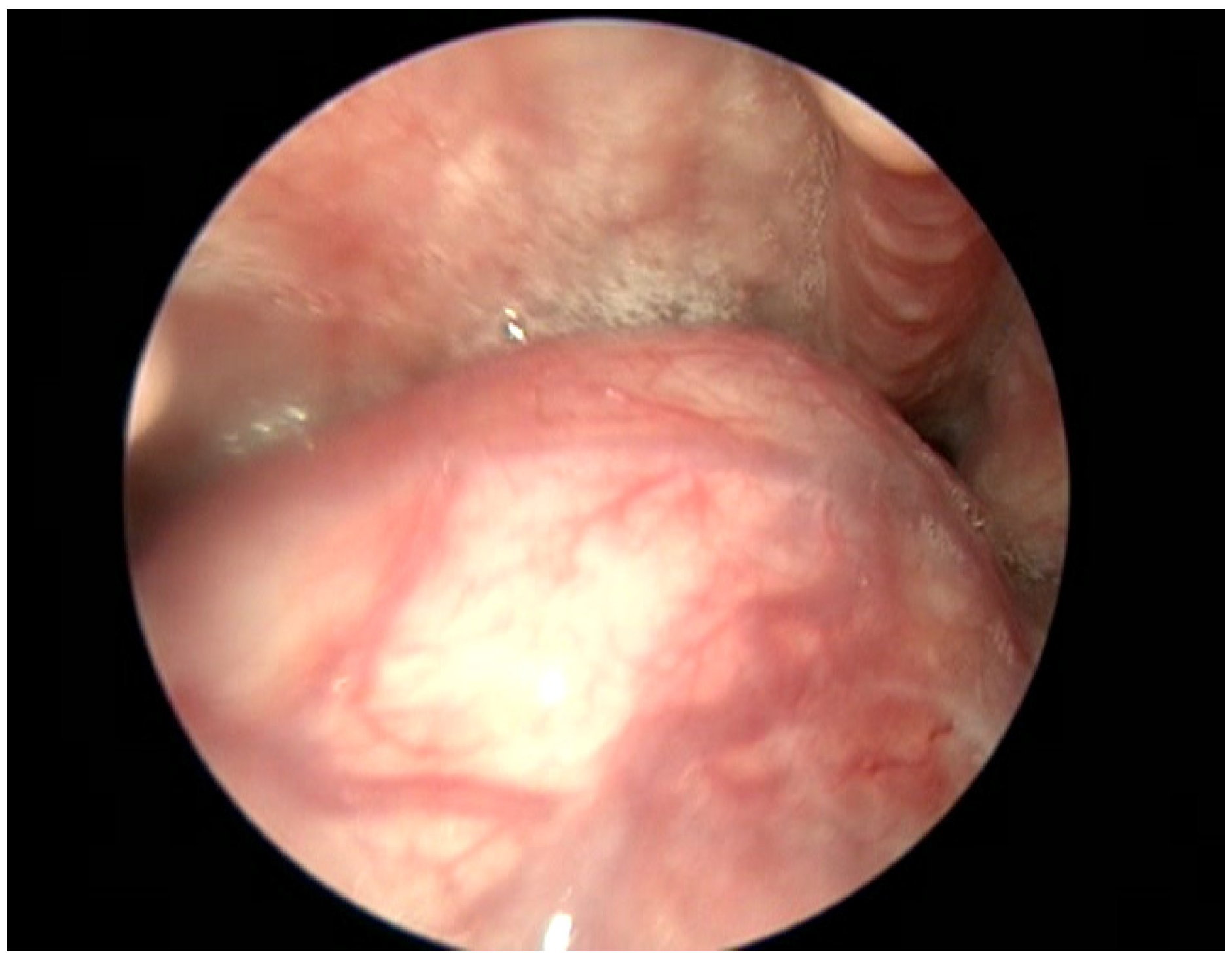 Medicina 59 00313 g001