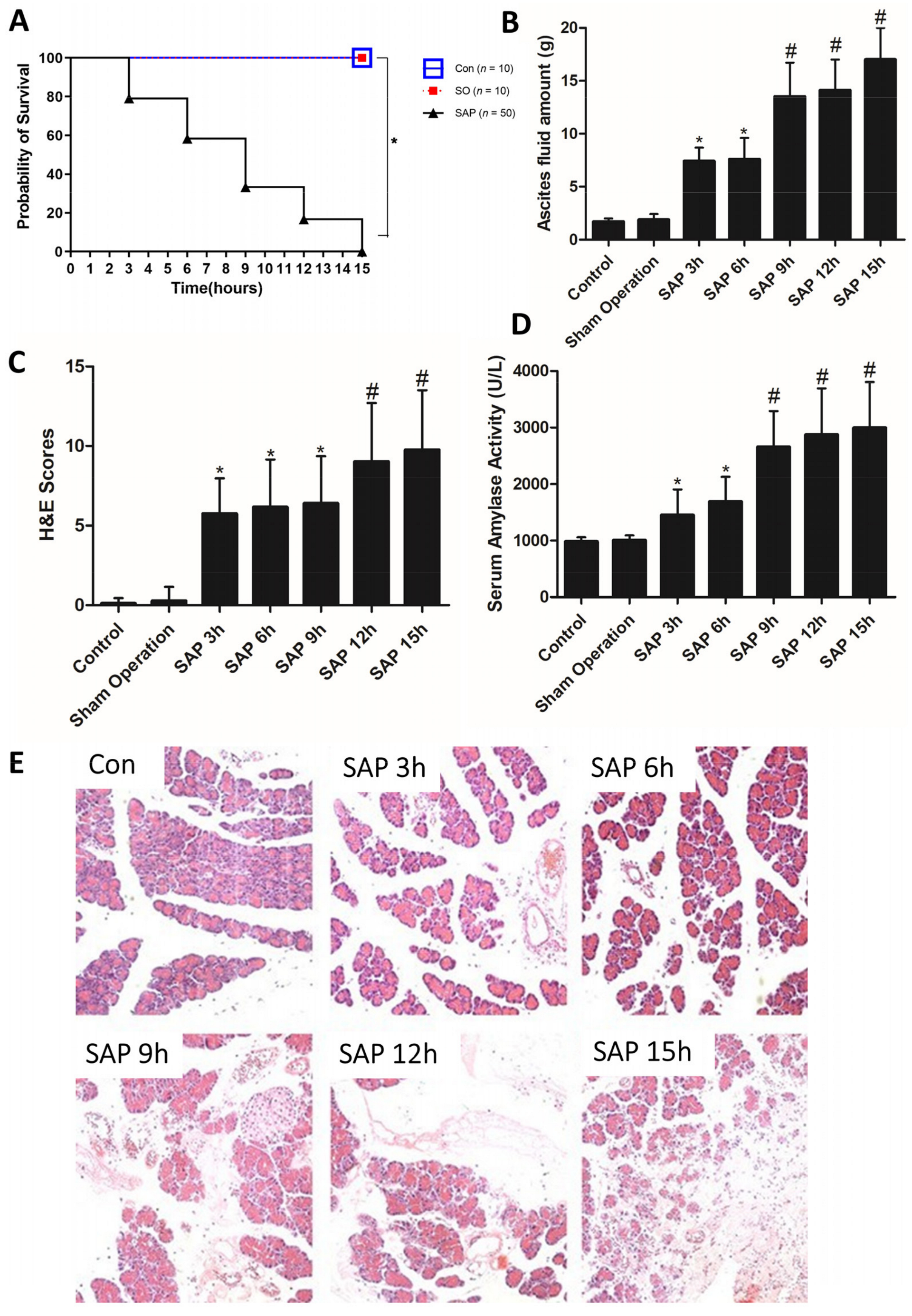 Medicina 59 00321 g001