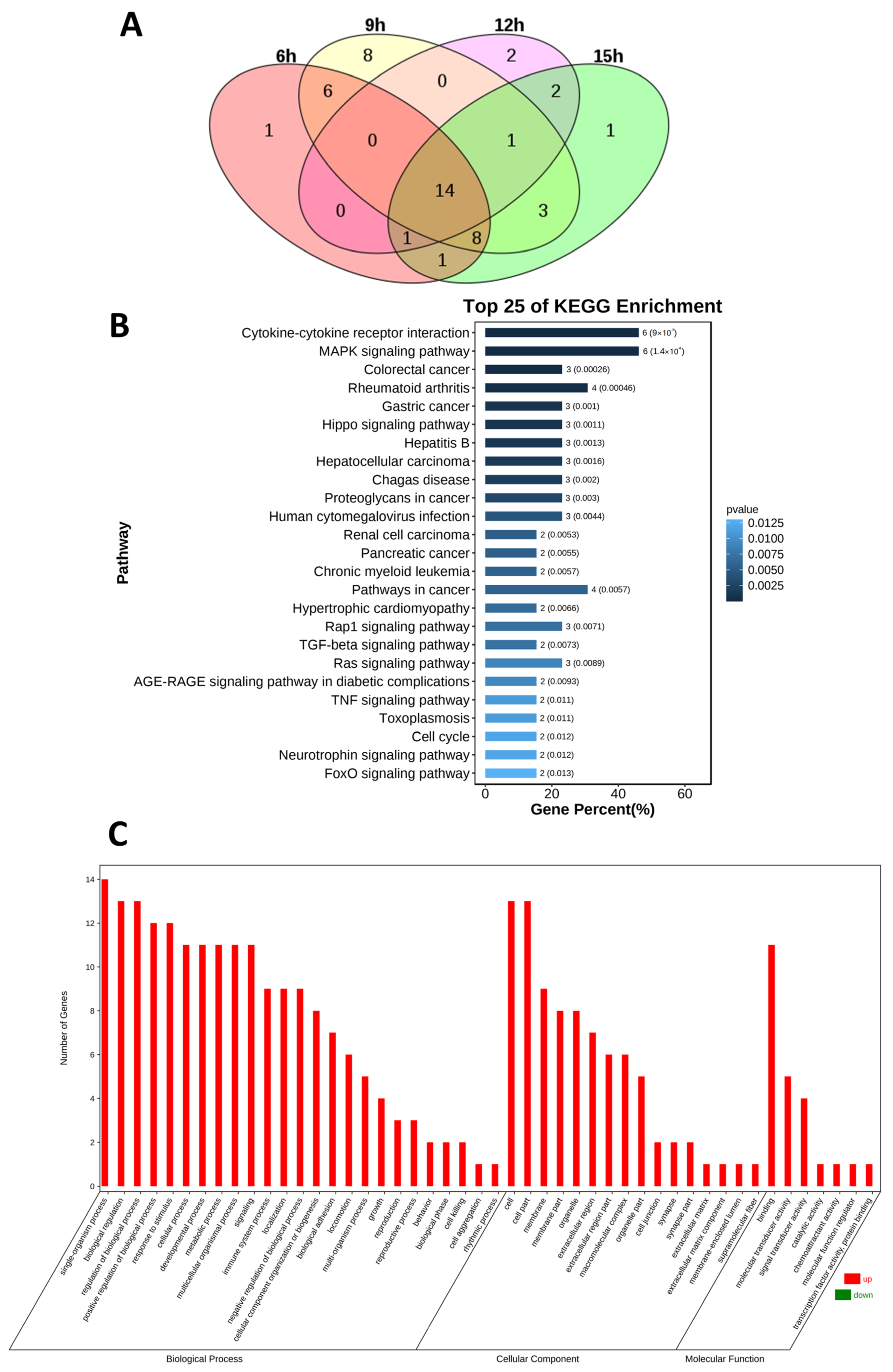 Medicina 59 00321 g005