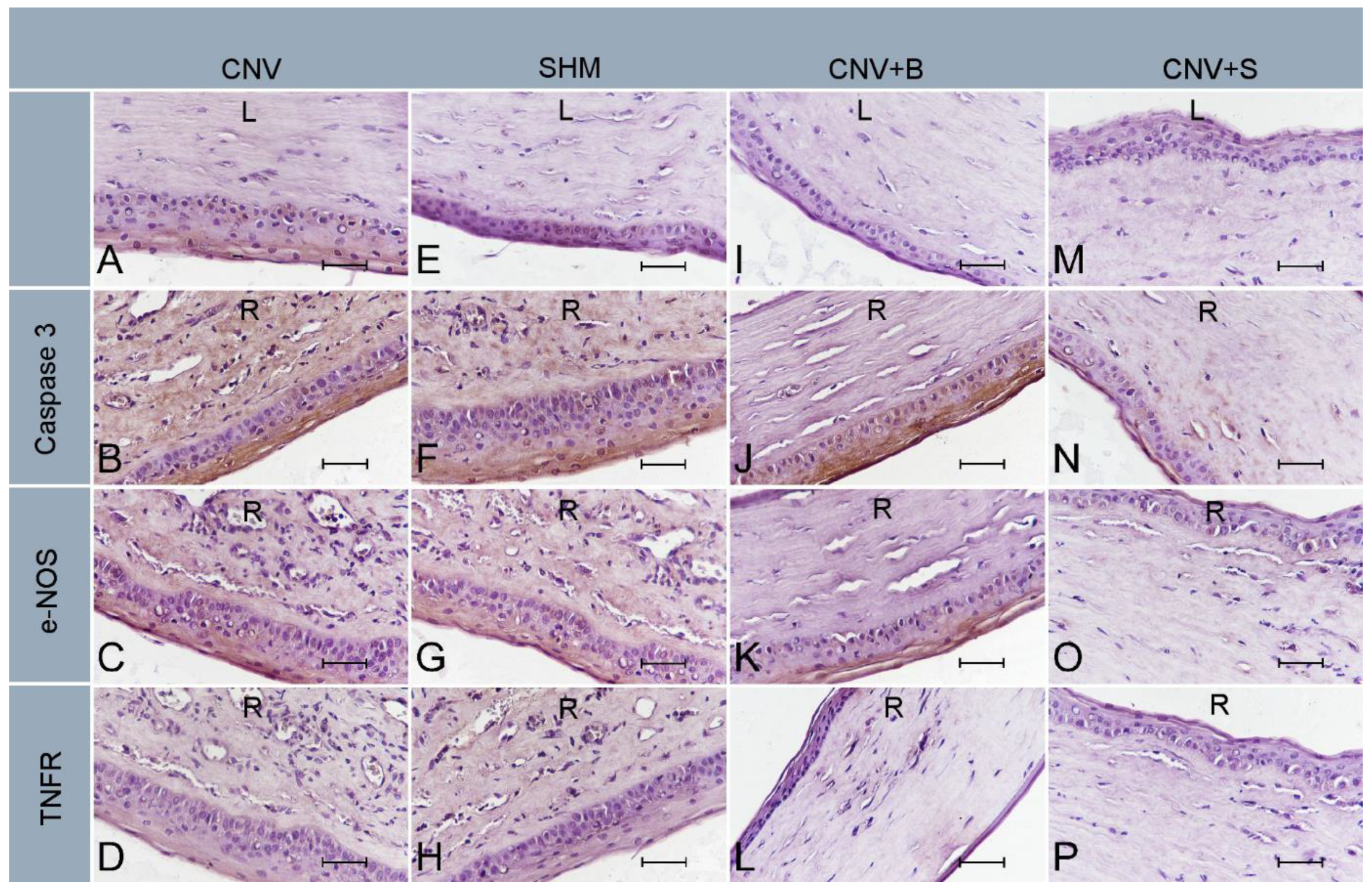 Medicina 59 00323 g003