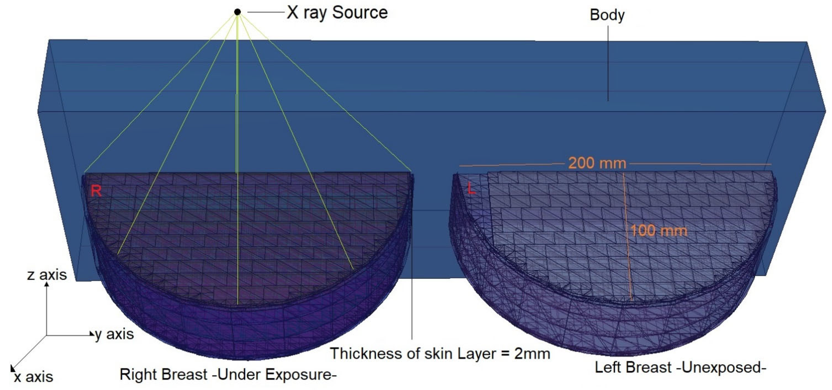 Medicina 59 00327 g003