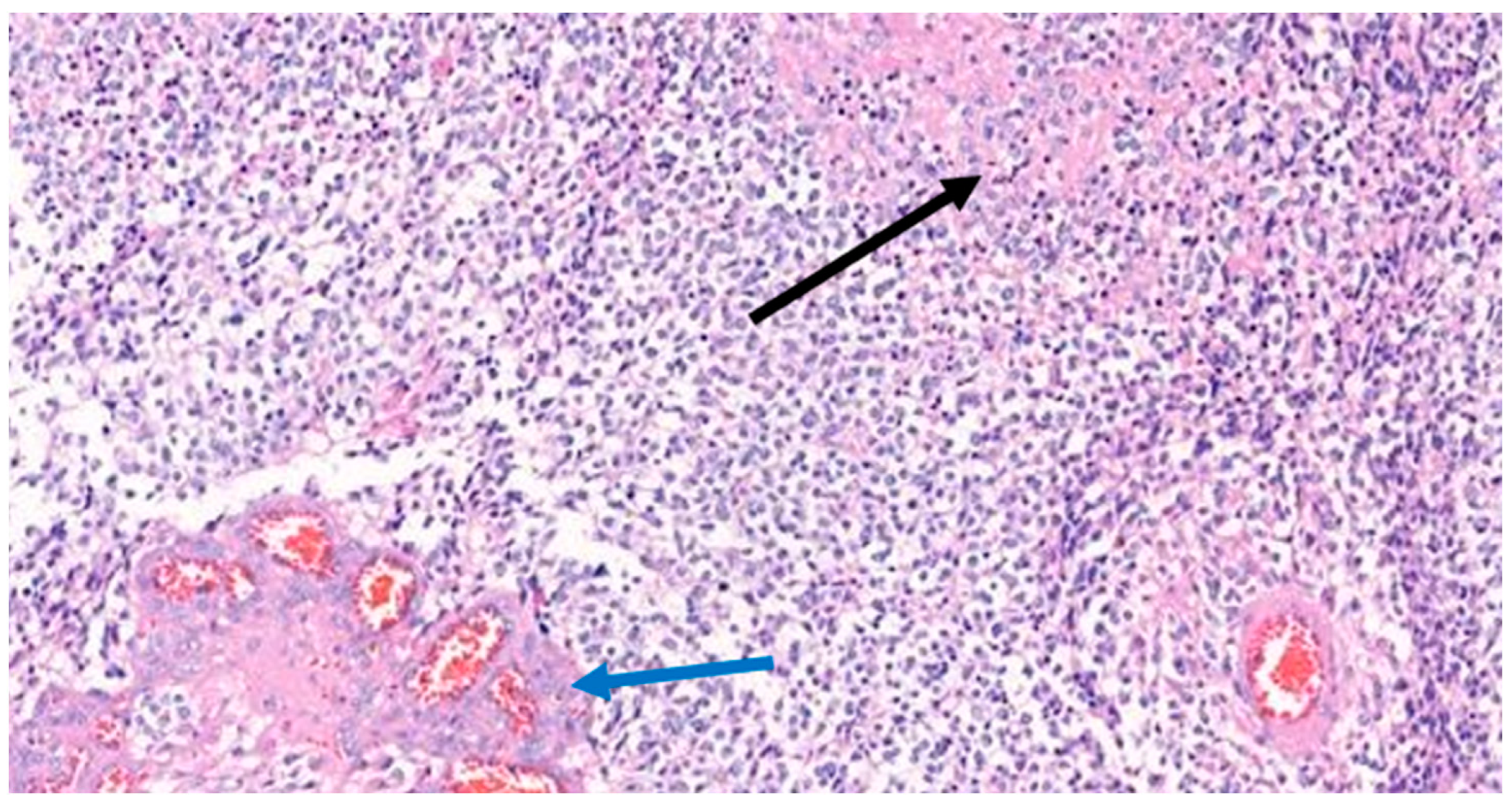 Medicina 59 00331 g005