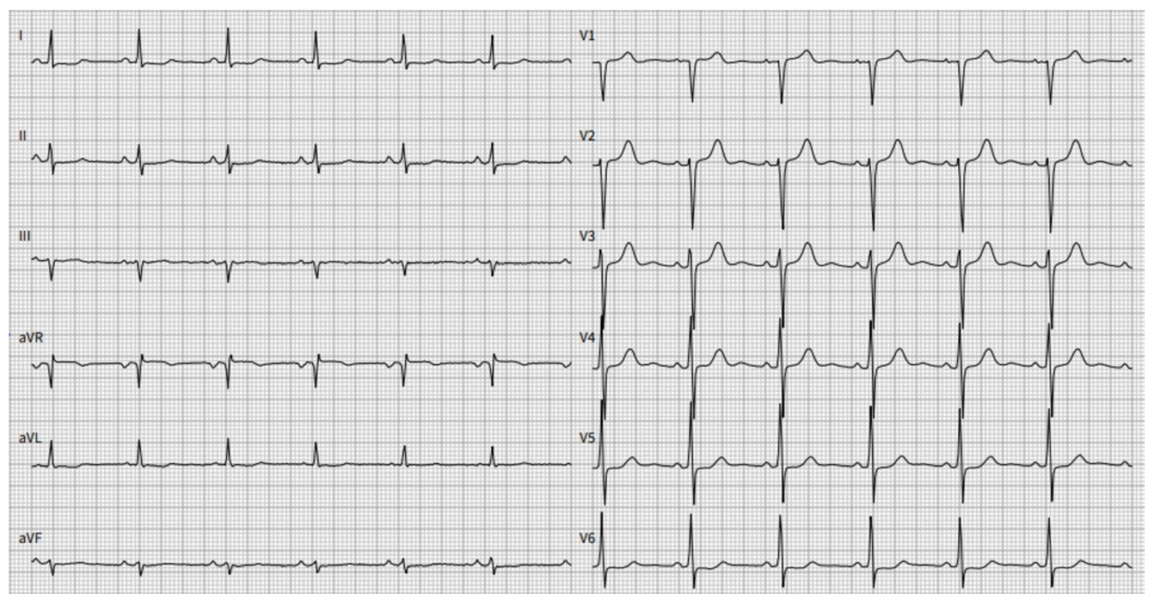 Medicina 59 00335 g002