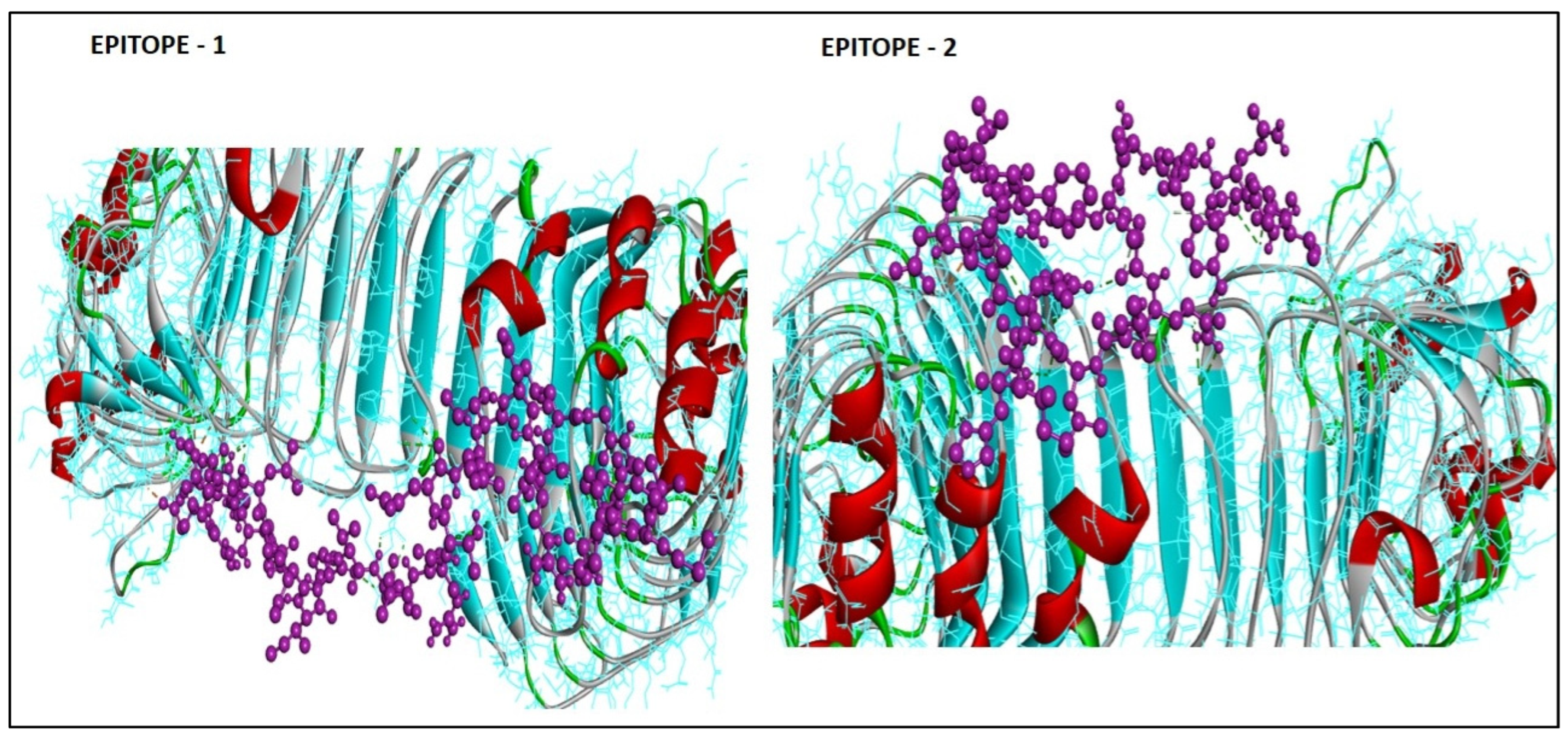 Medicina 59 00343 g003 550