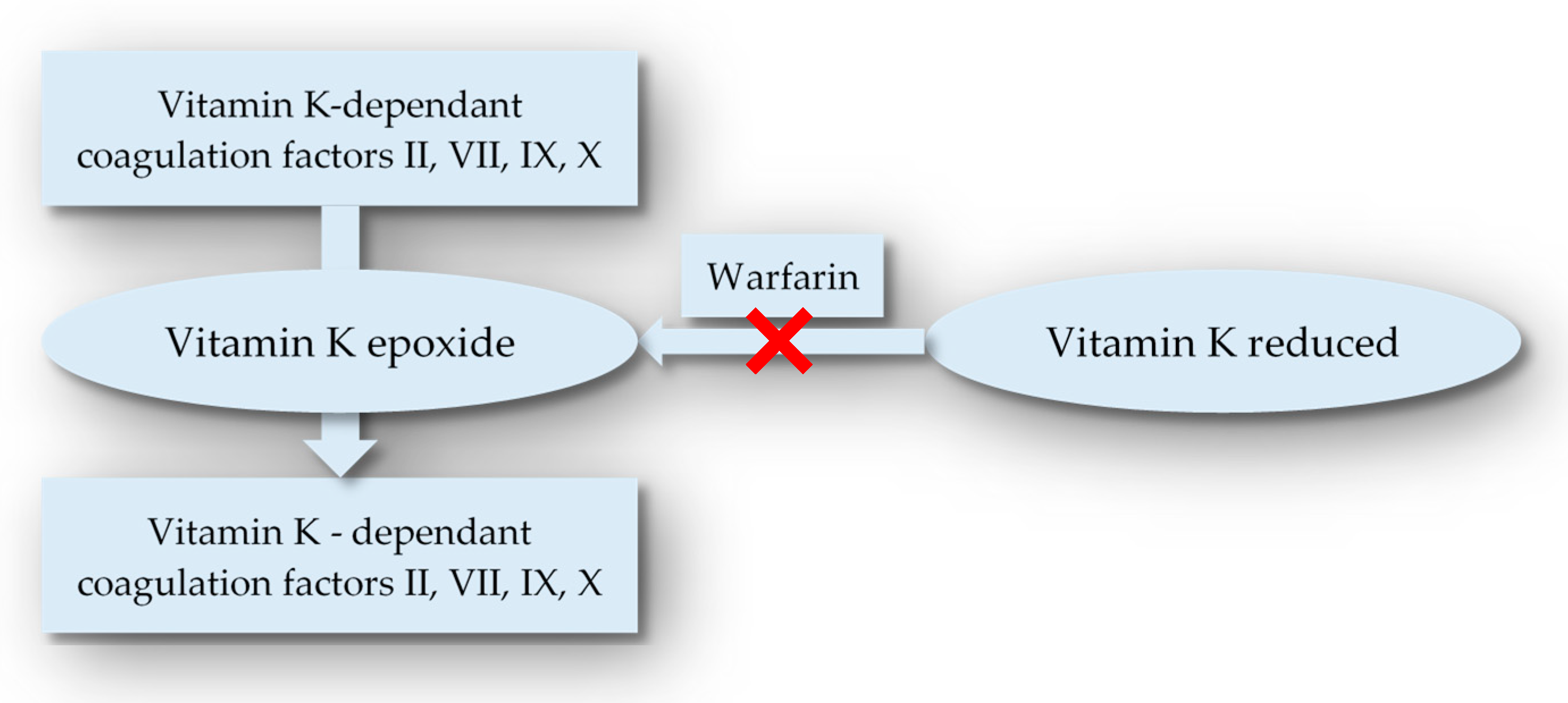 Medicina 59 00346 g001