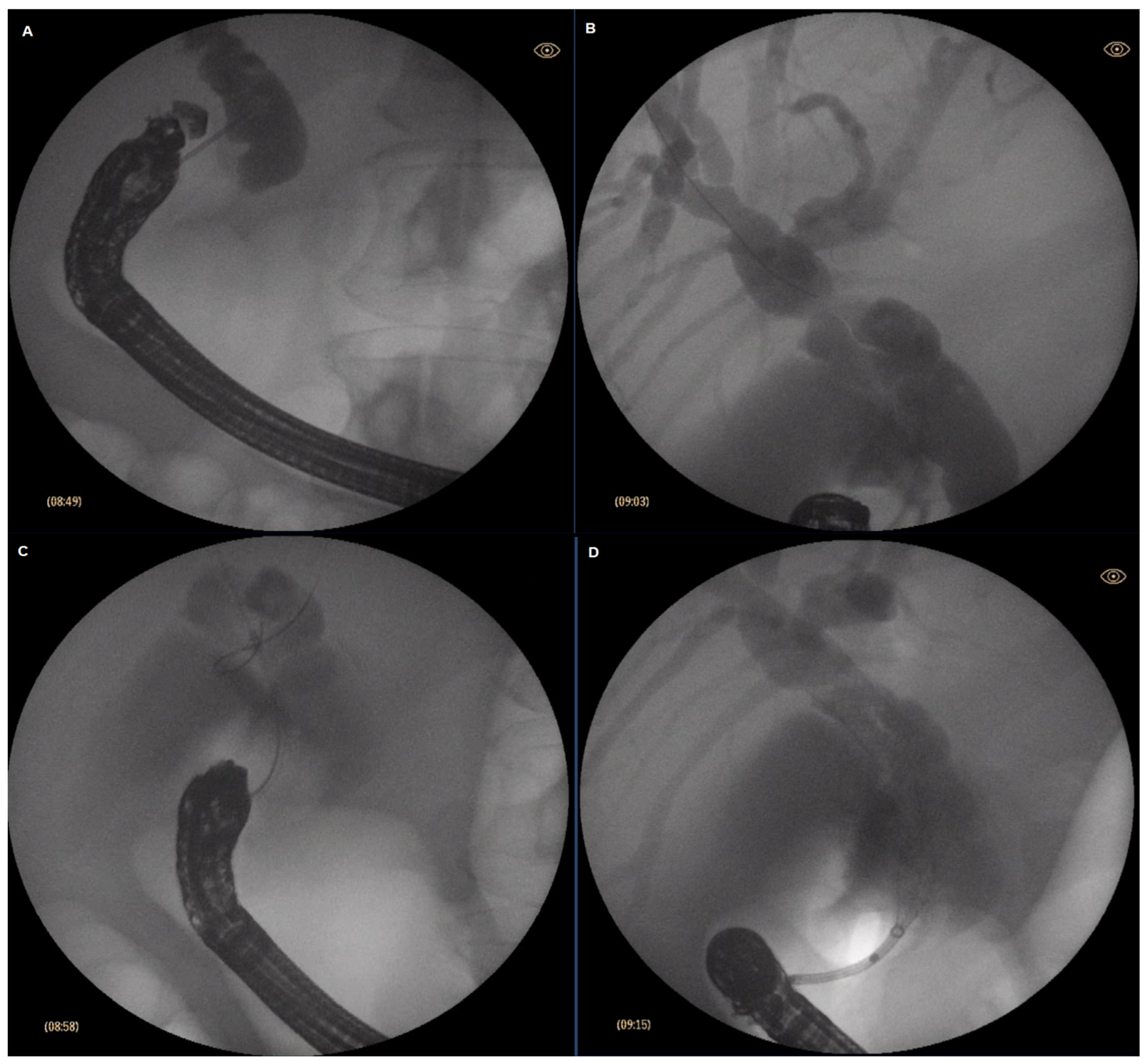 Medicina 59 00351 g001 Medicina 59 00351 g001