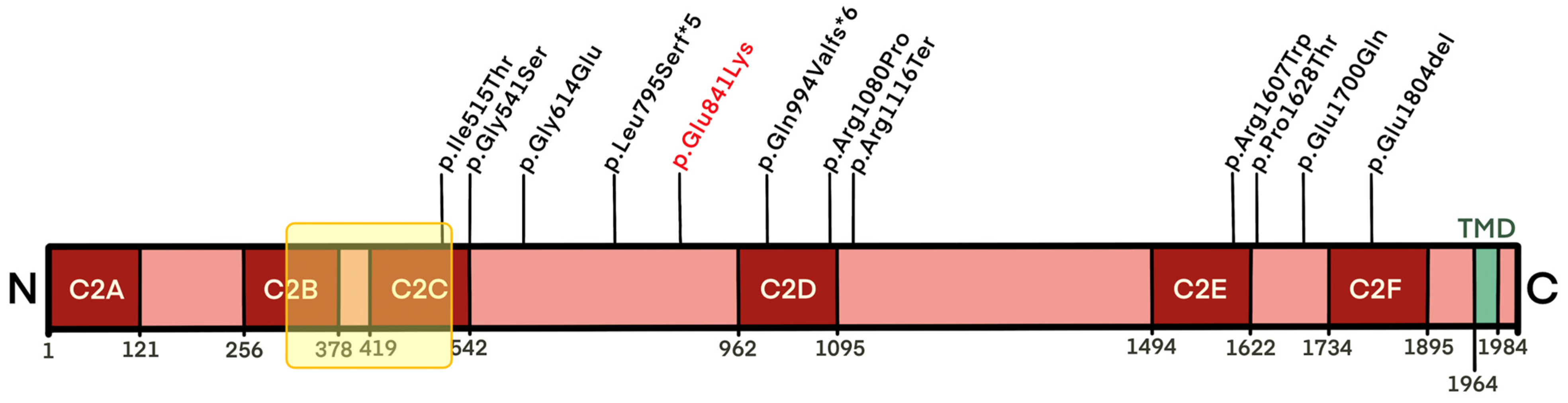 Medicina 59 00352 g004