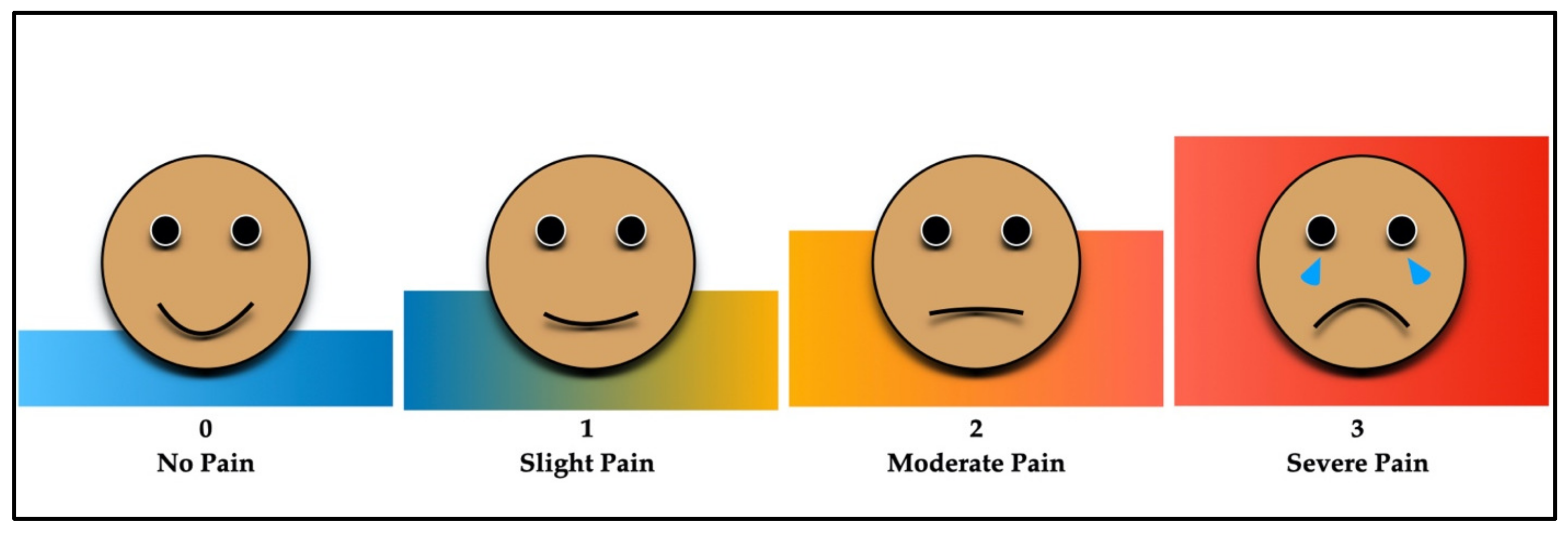 Medicina 59 00355 g002