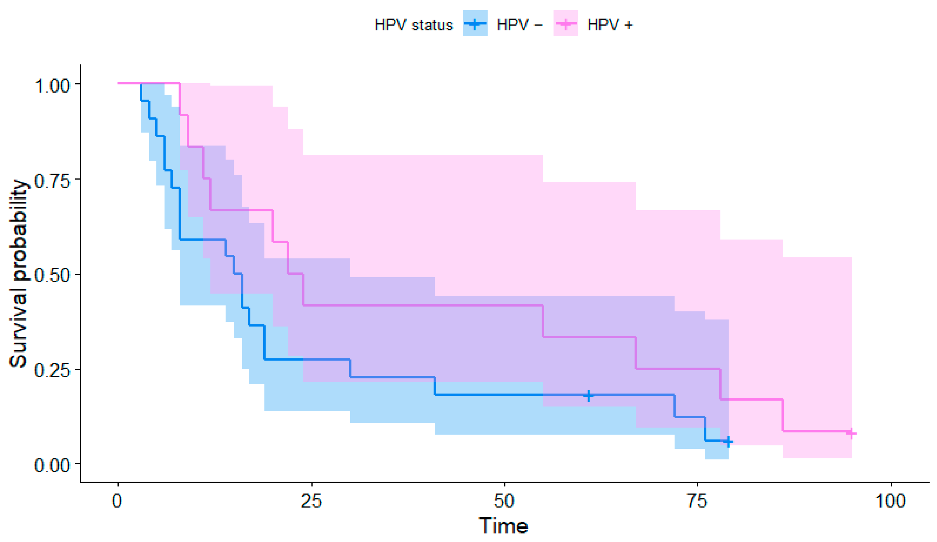 Medicina 59 00361 g001