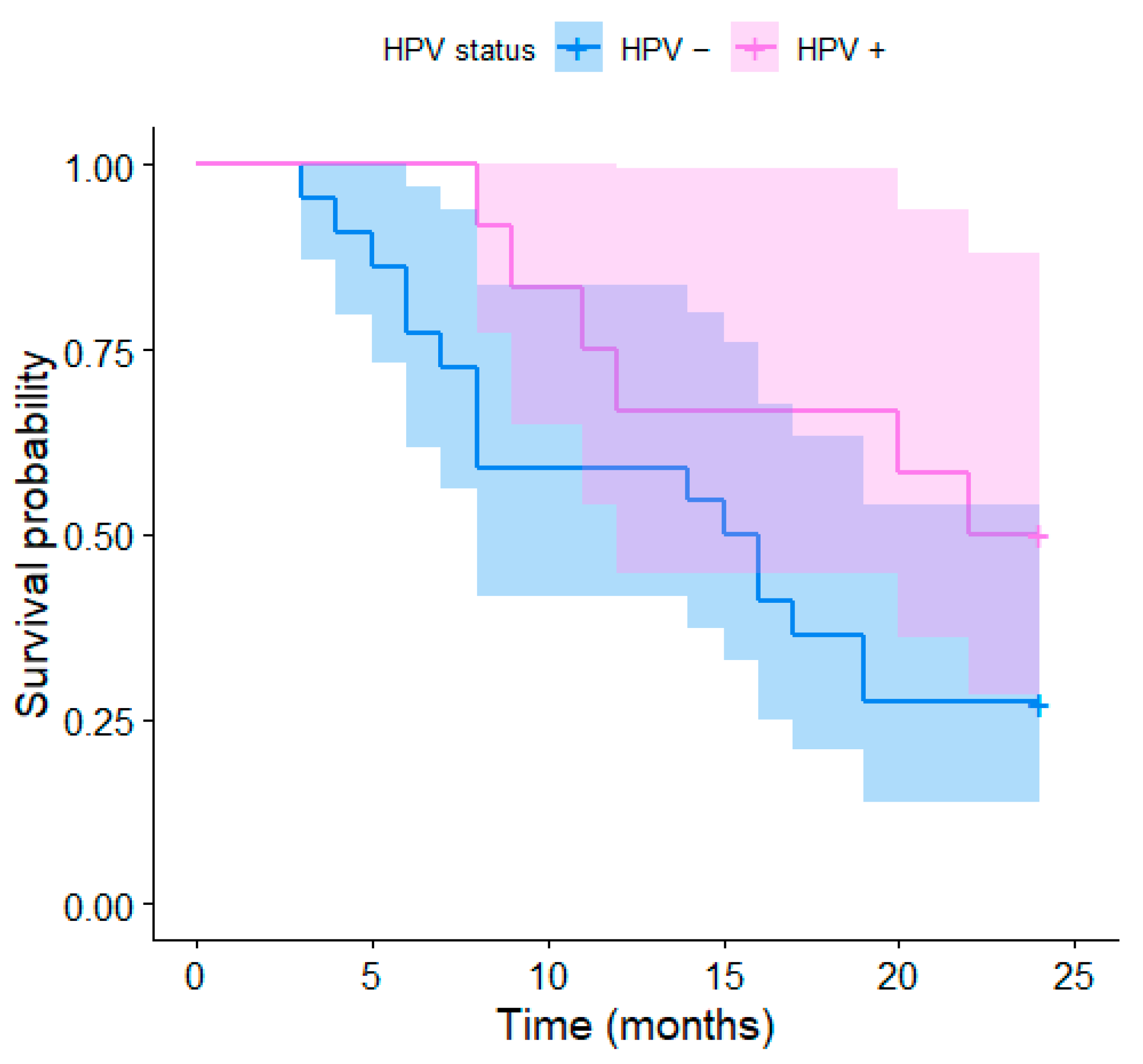 Medicina 59 00361 g002