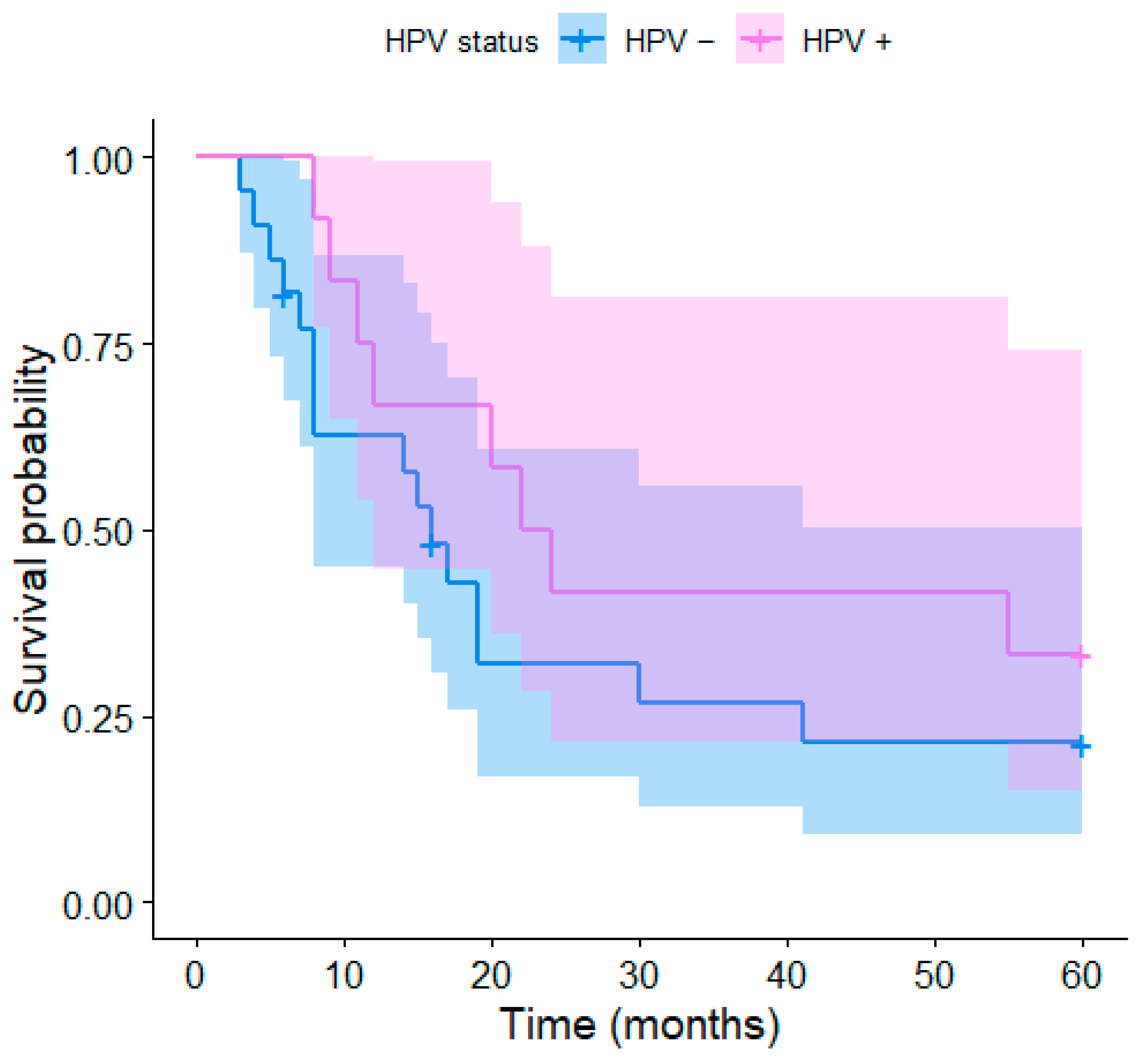 Medicina 59 00361 g003