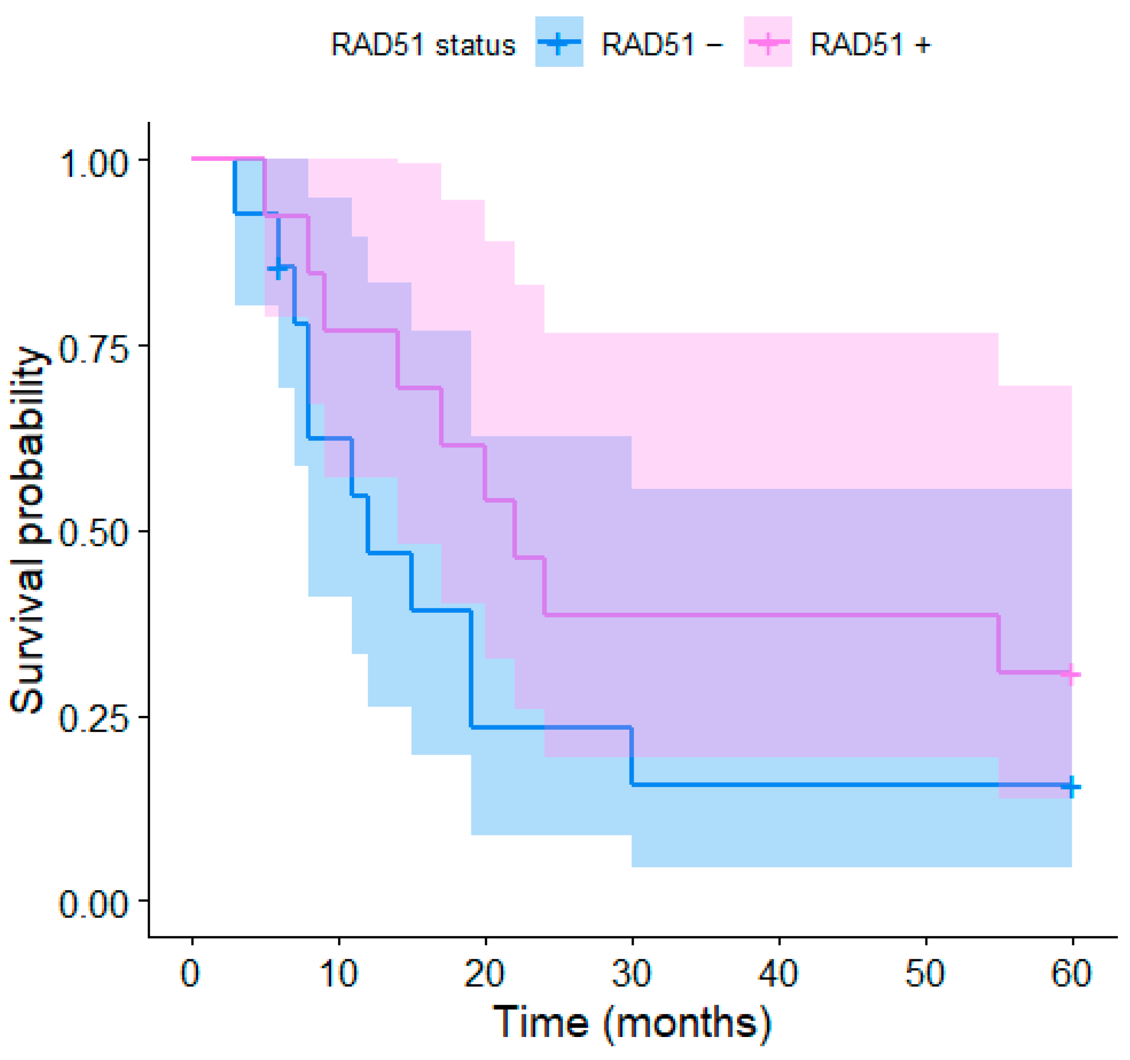 Medicina 59 00361 g005