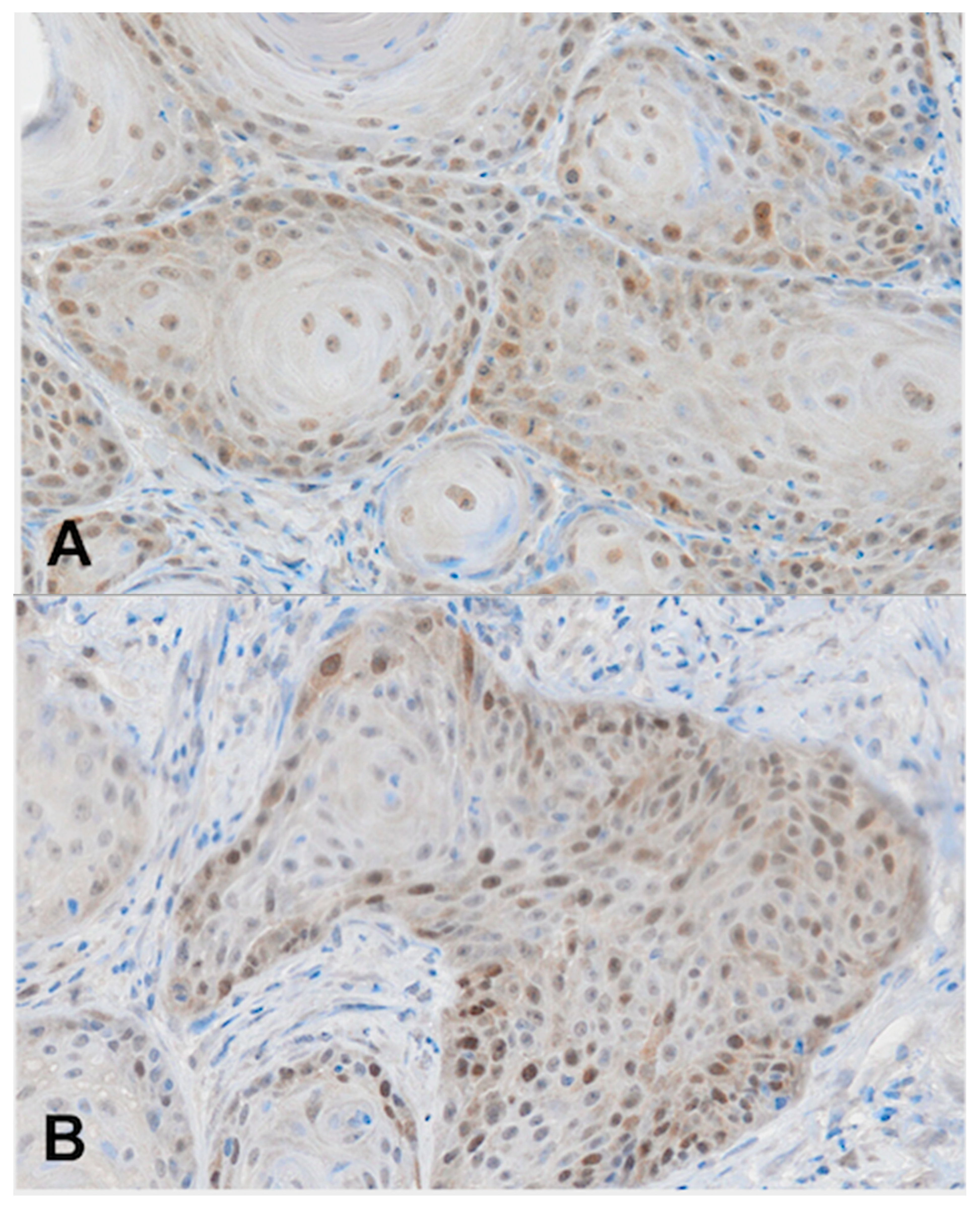 Medicina 59 00361 sch001a