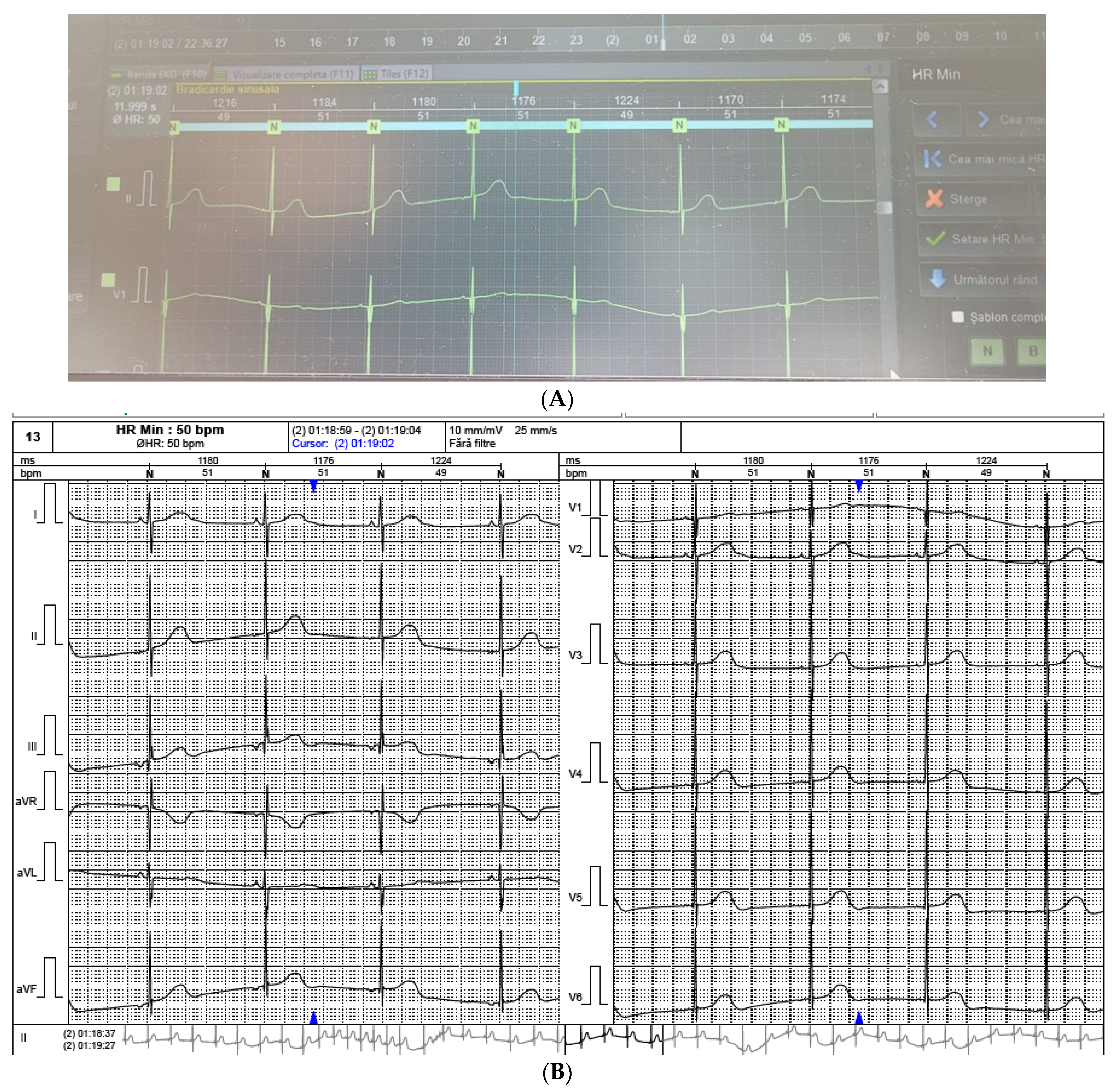 Medicina 59 00362 g002