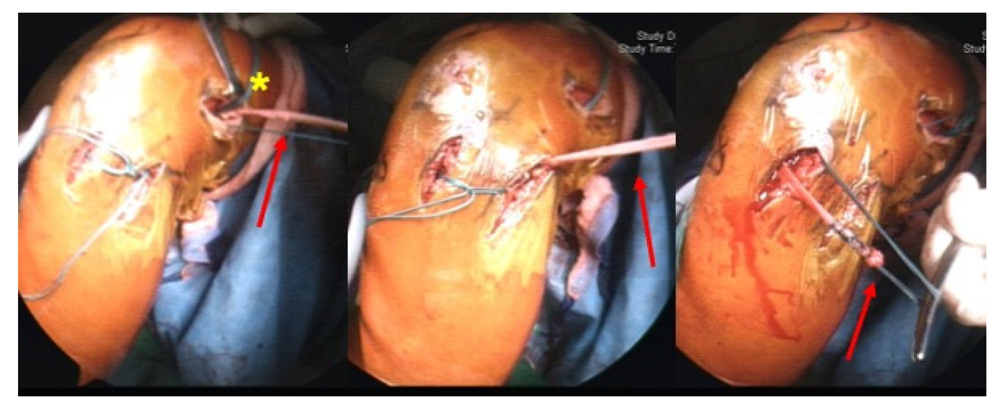 Medicina 59 00366 g002