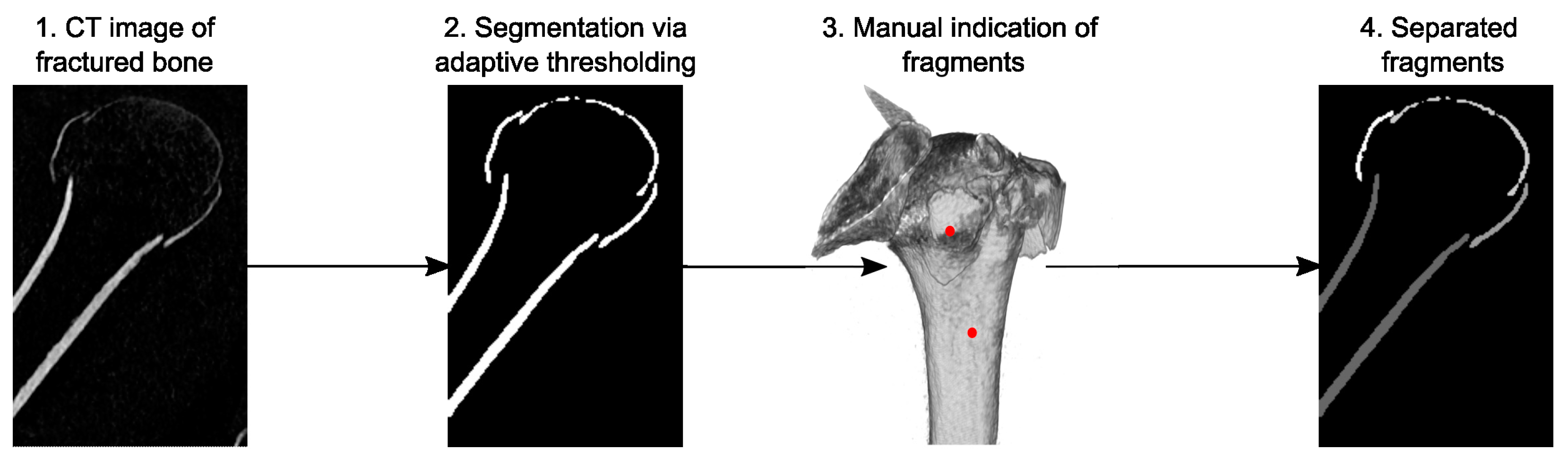 Medicina 59 00370 g002