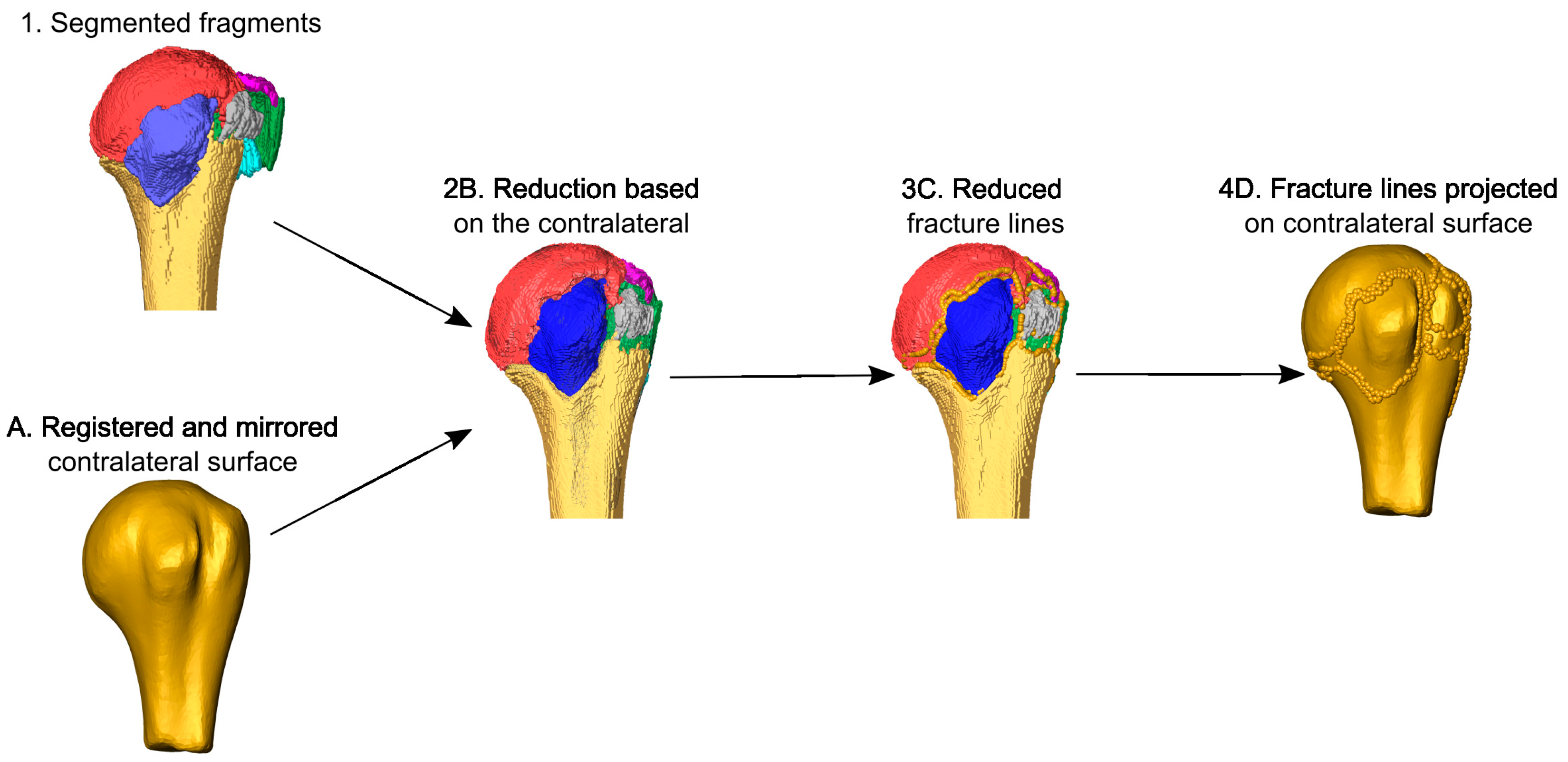 Medicina 59 00370 g004
