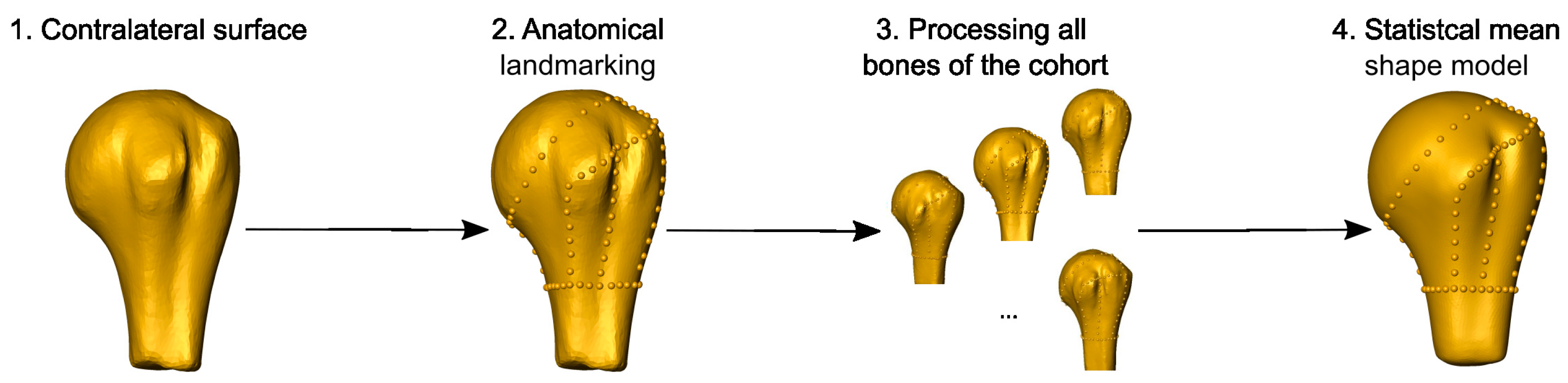 Medicina 59 00370 g005