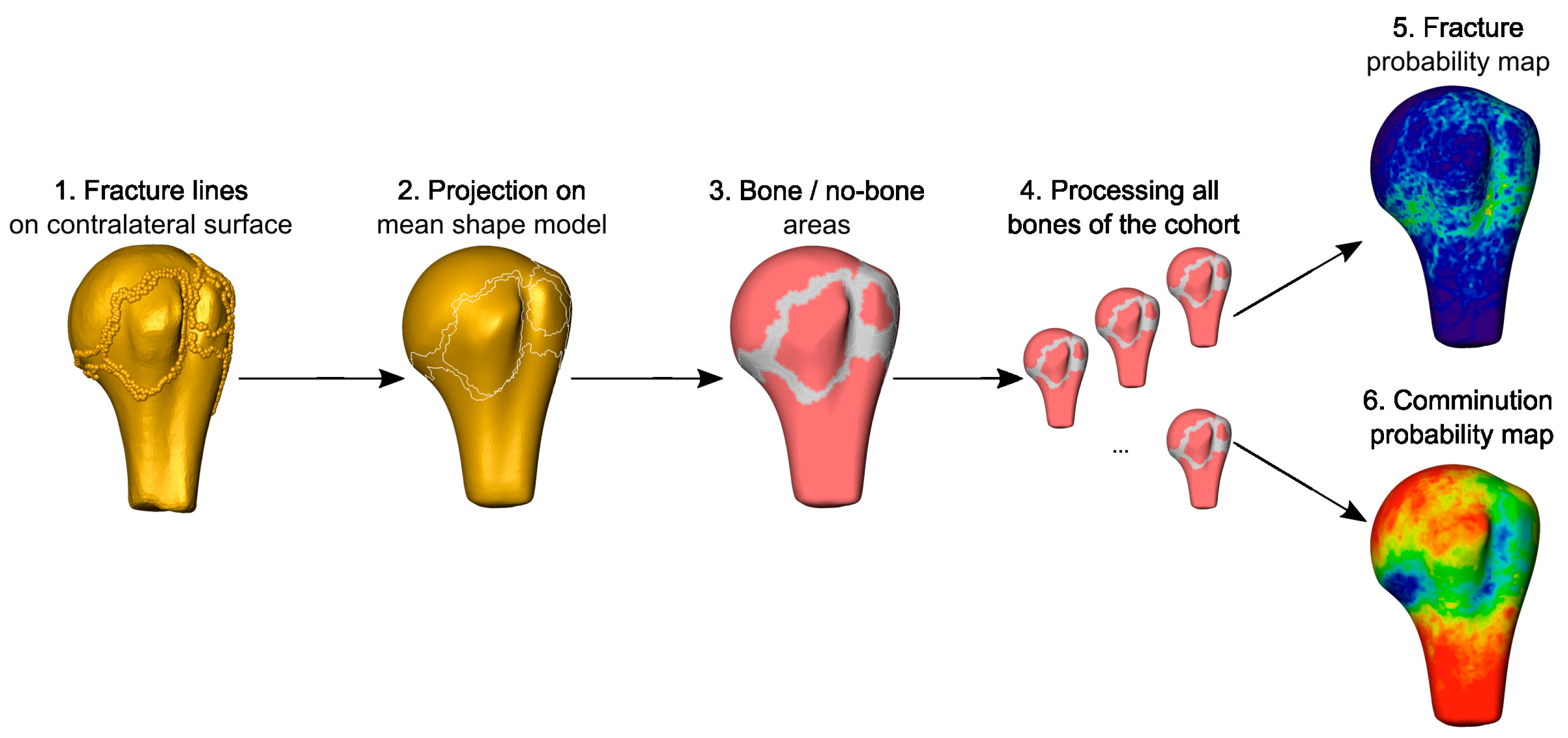 Medicina 59 00370 g006