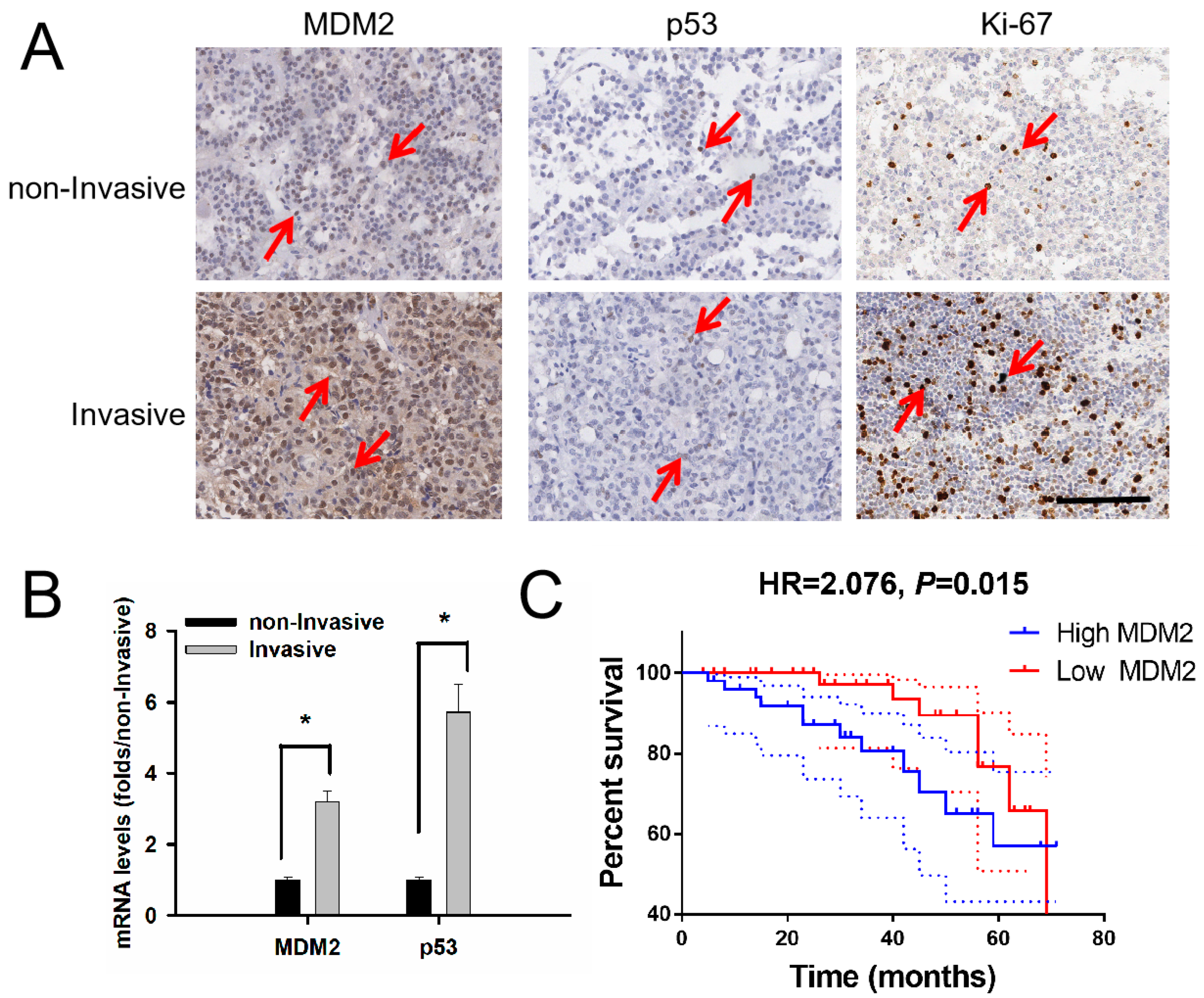 Medicina 59 00373 g001