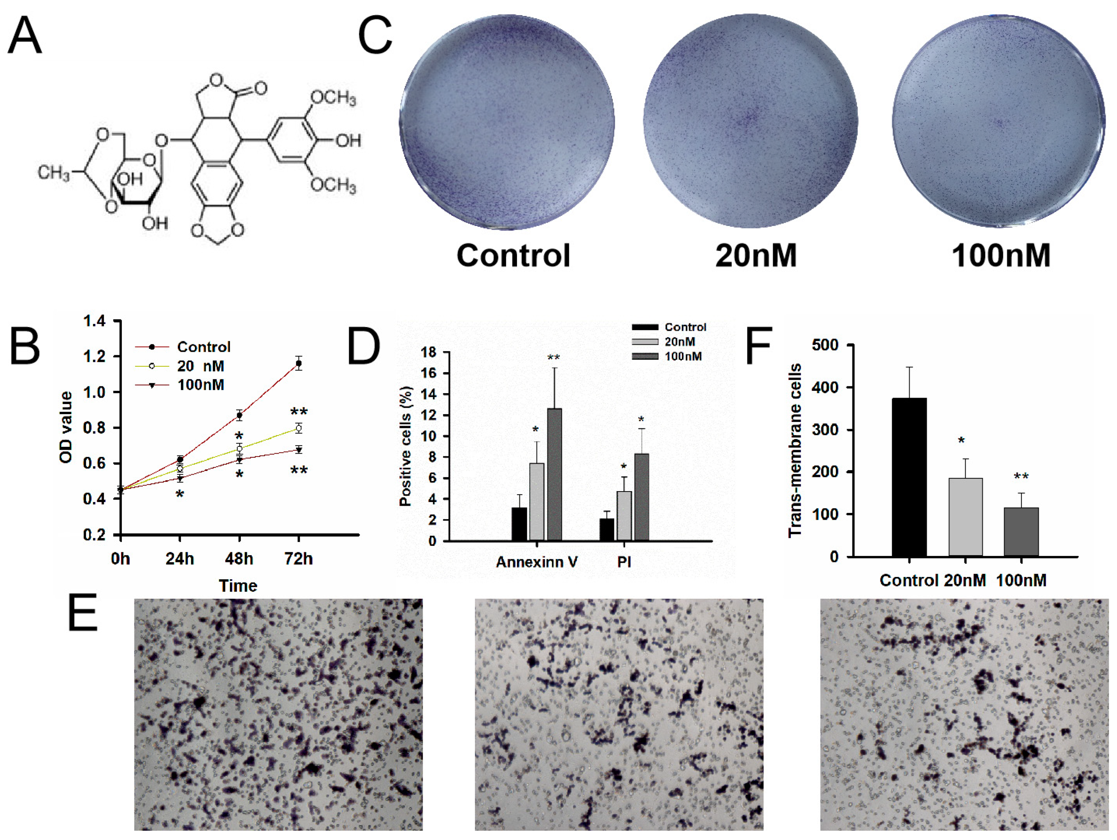 Medicina 59 00373 g002
