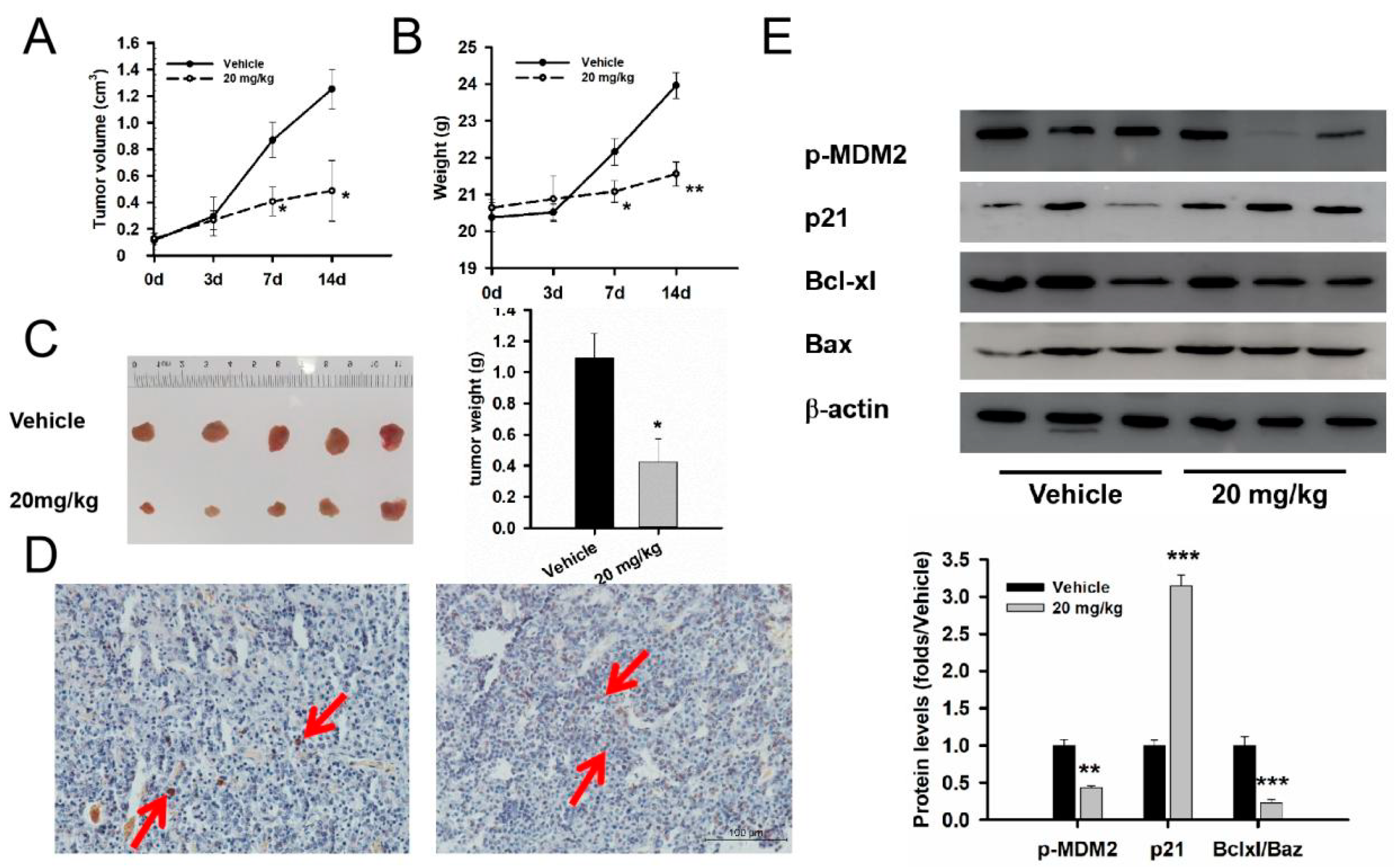 Medicina 59 00373 g004