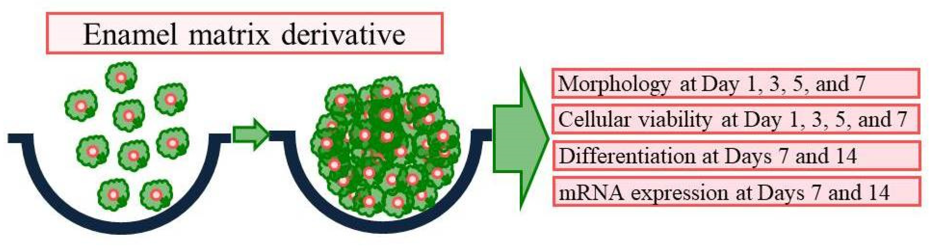 Medicina 59 00377 g001