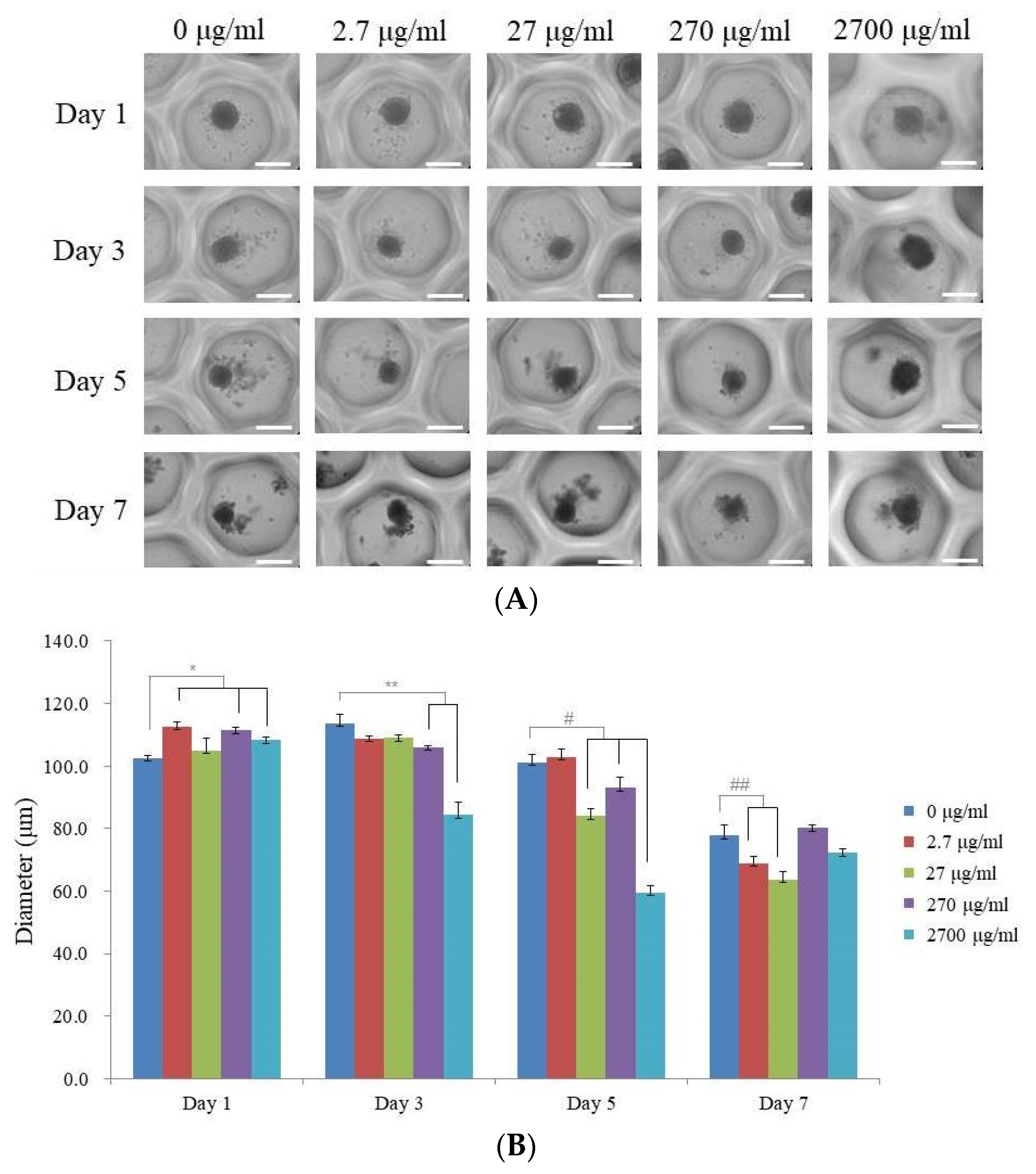 Medicina 59 00377 g002