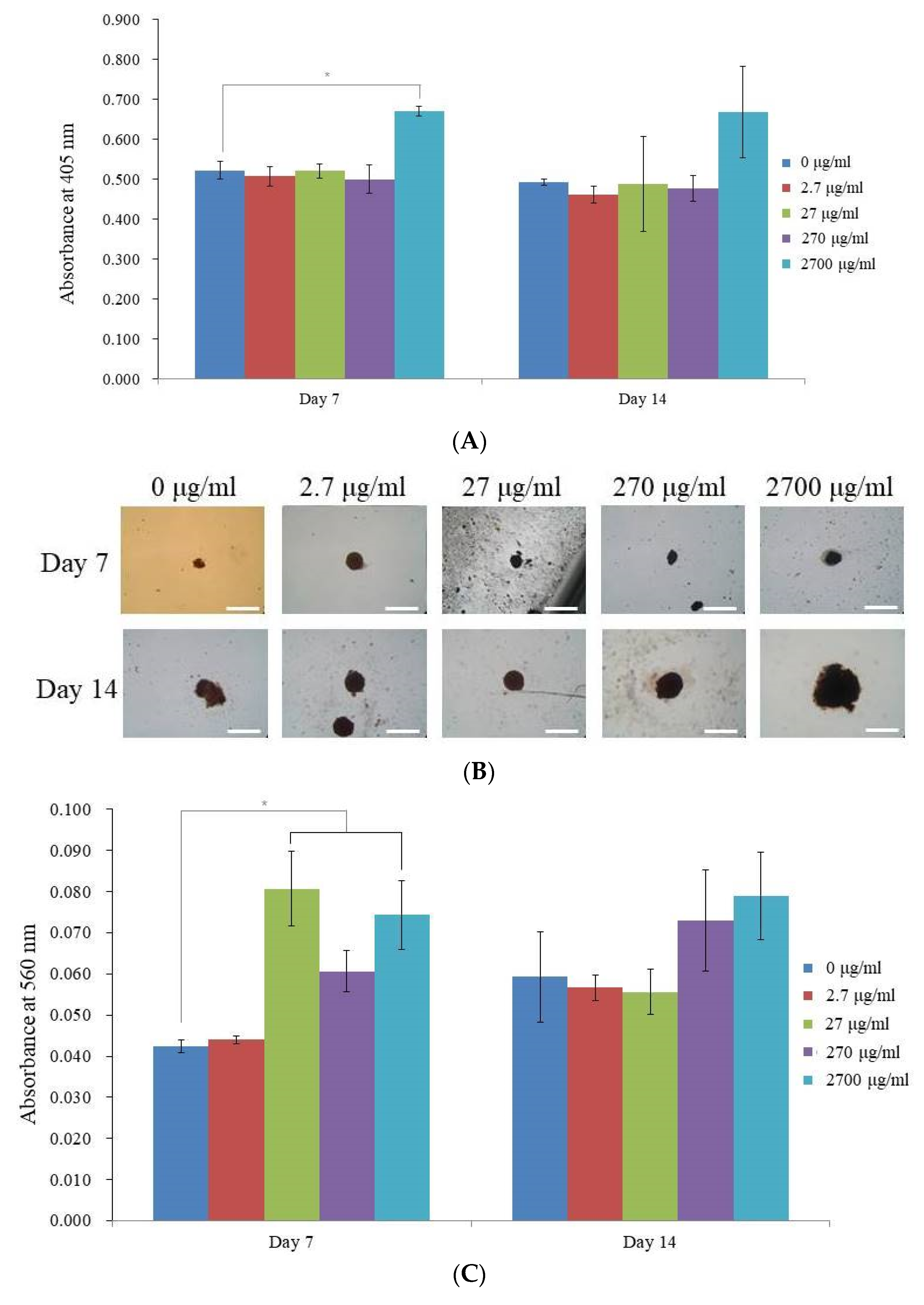Medicina 59 00377 g004