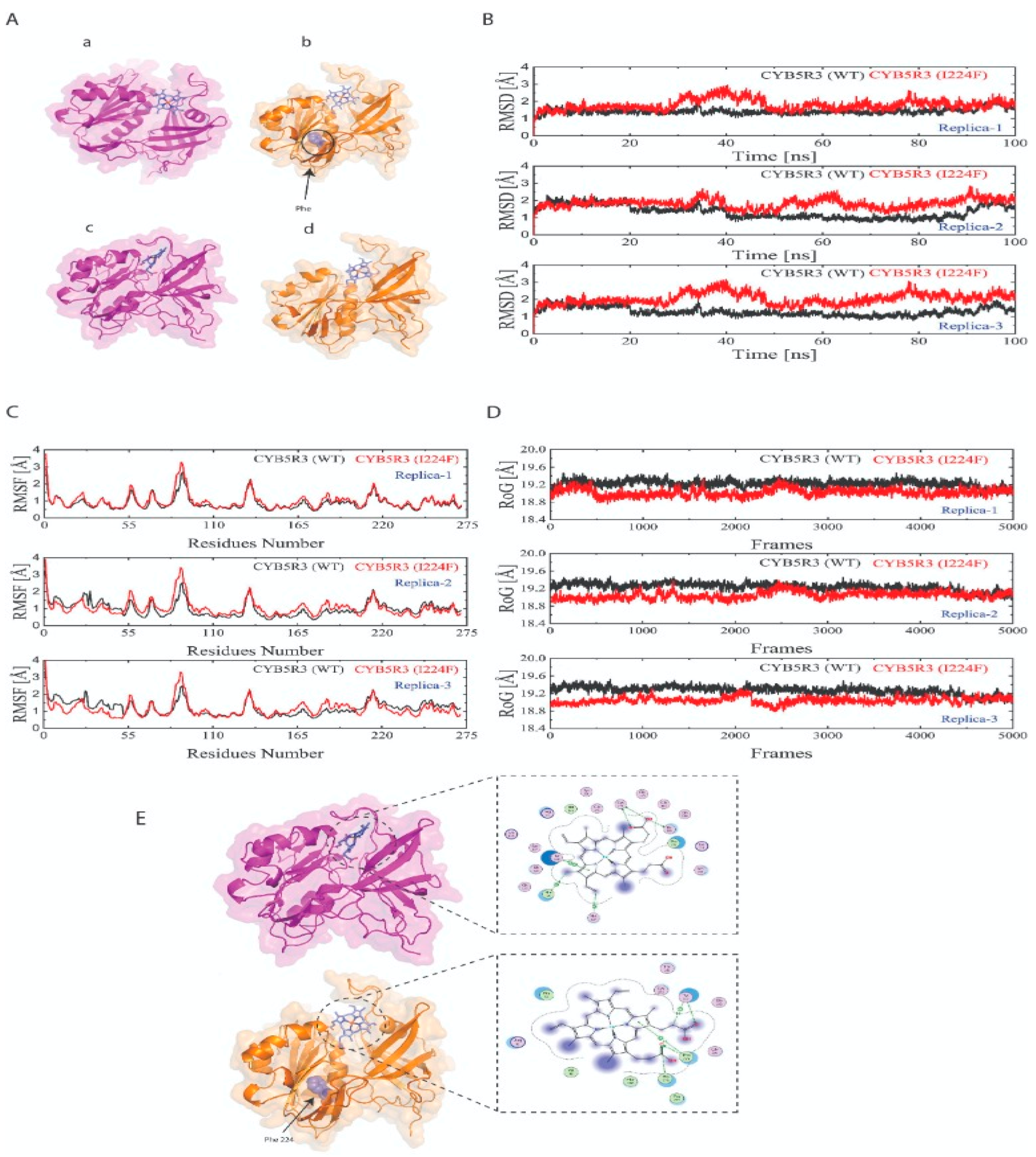 Medicina 59 00379 g002