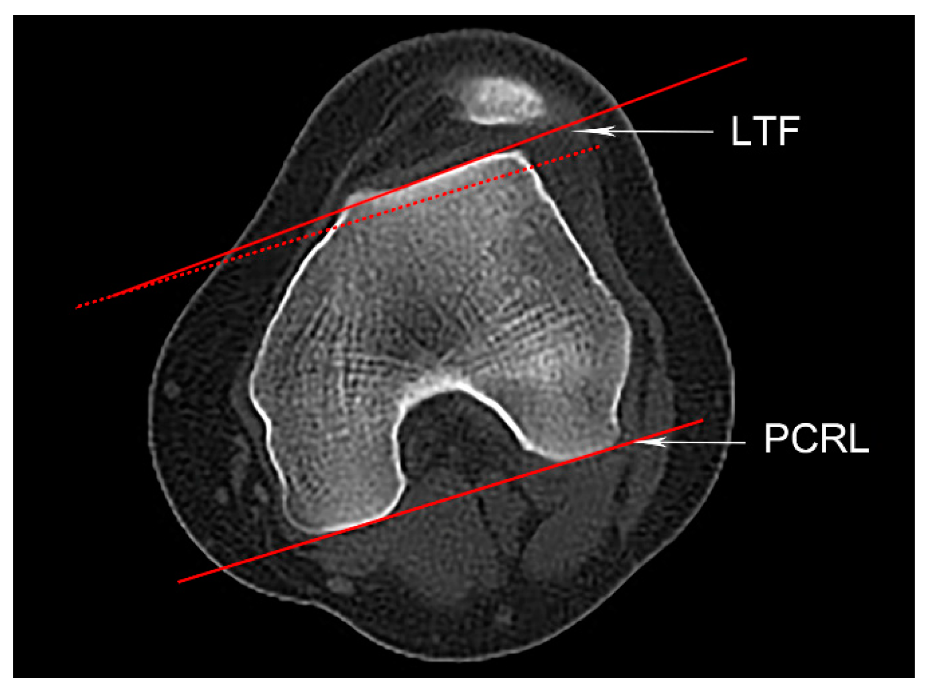 Medicina 59 00382 g002